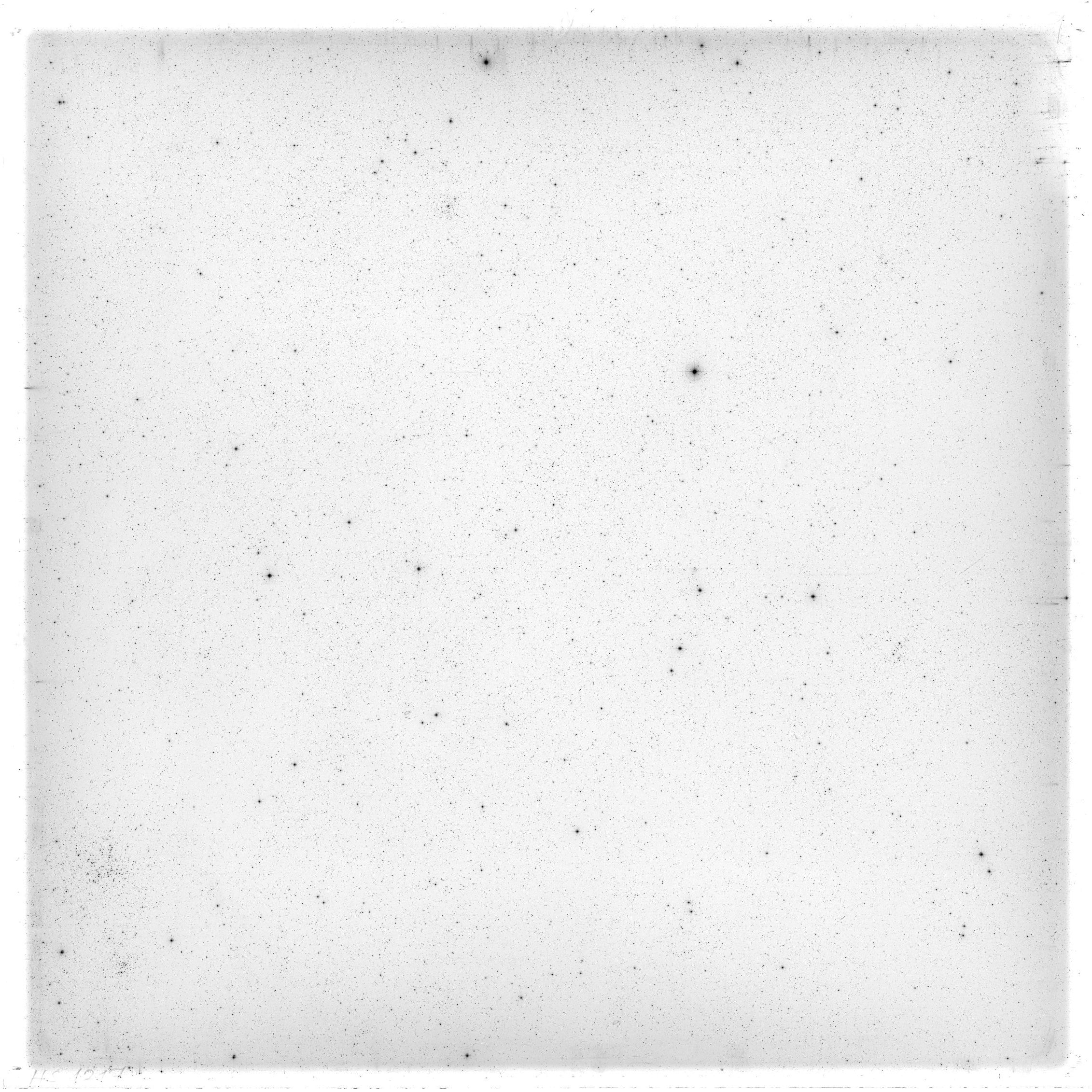 Scan HS01217