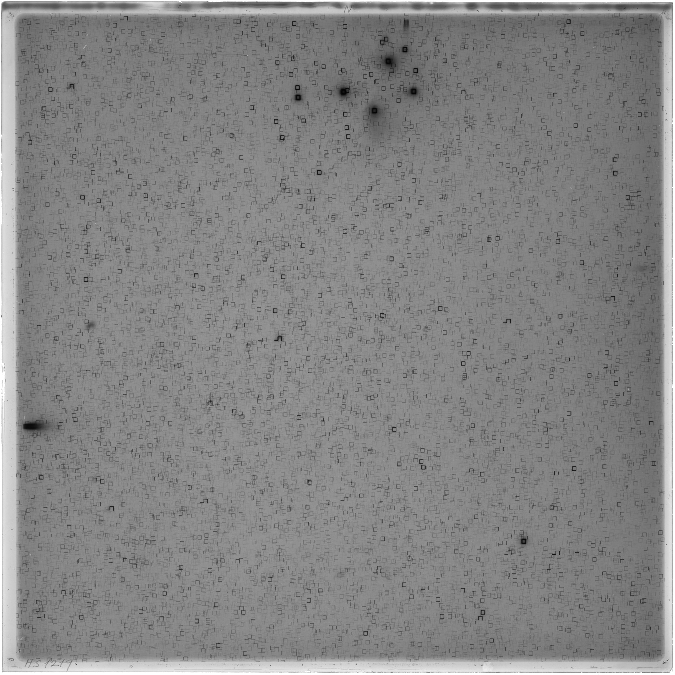 Scan HS01219