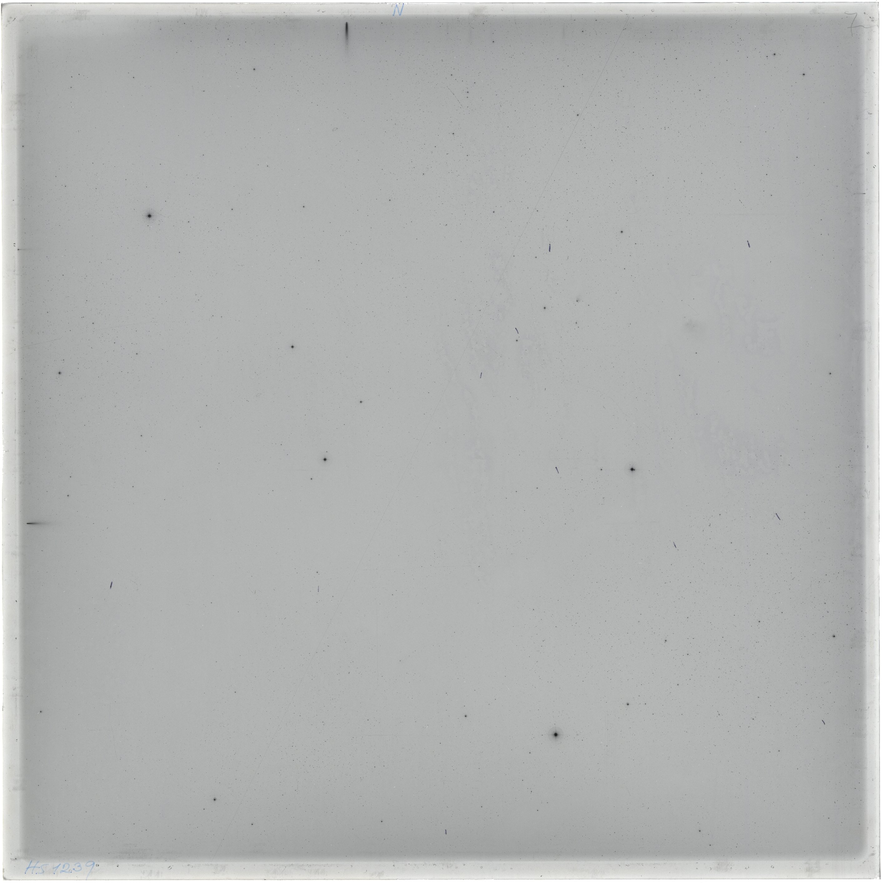 Scan HS01239