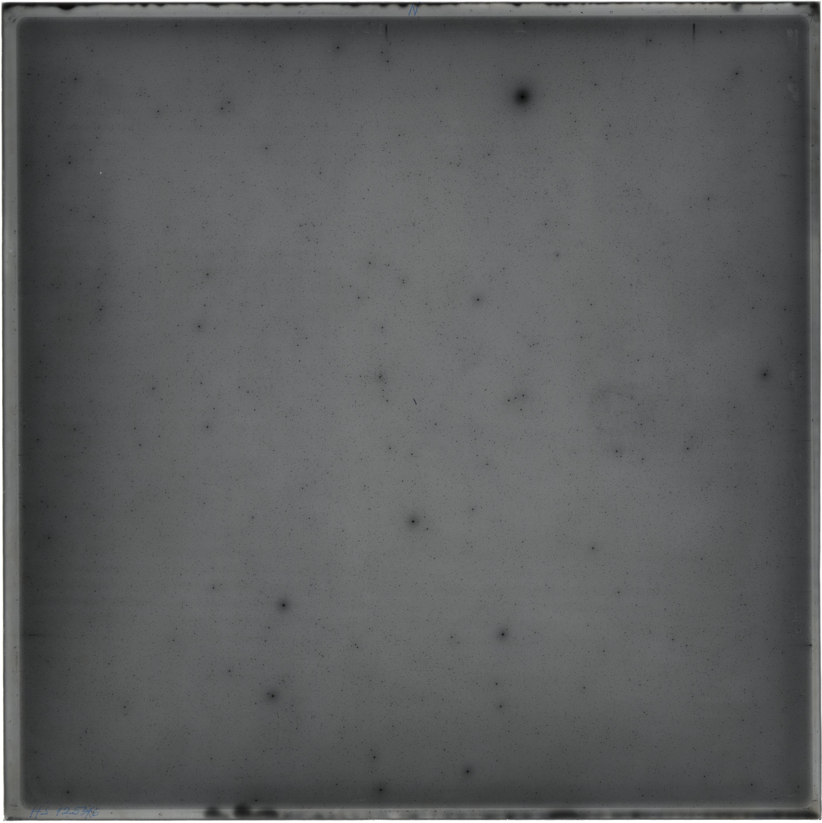 Scan HS01256