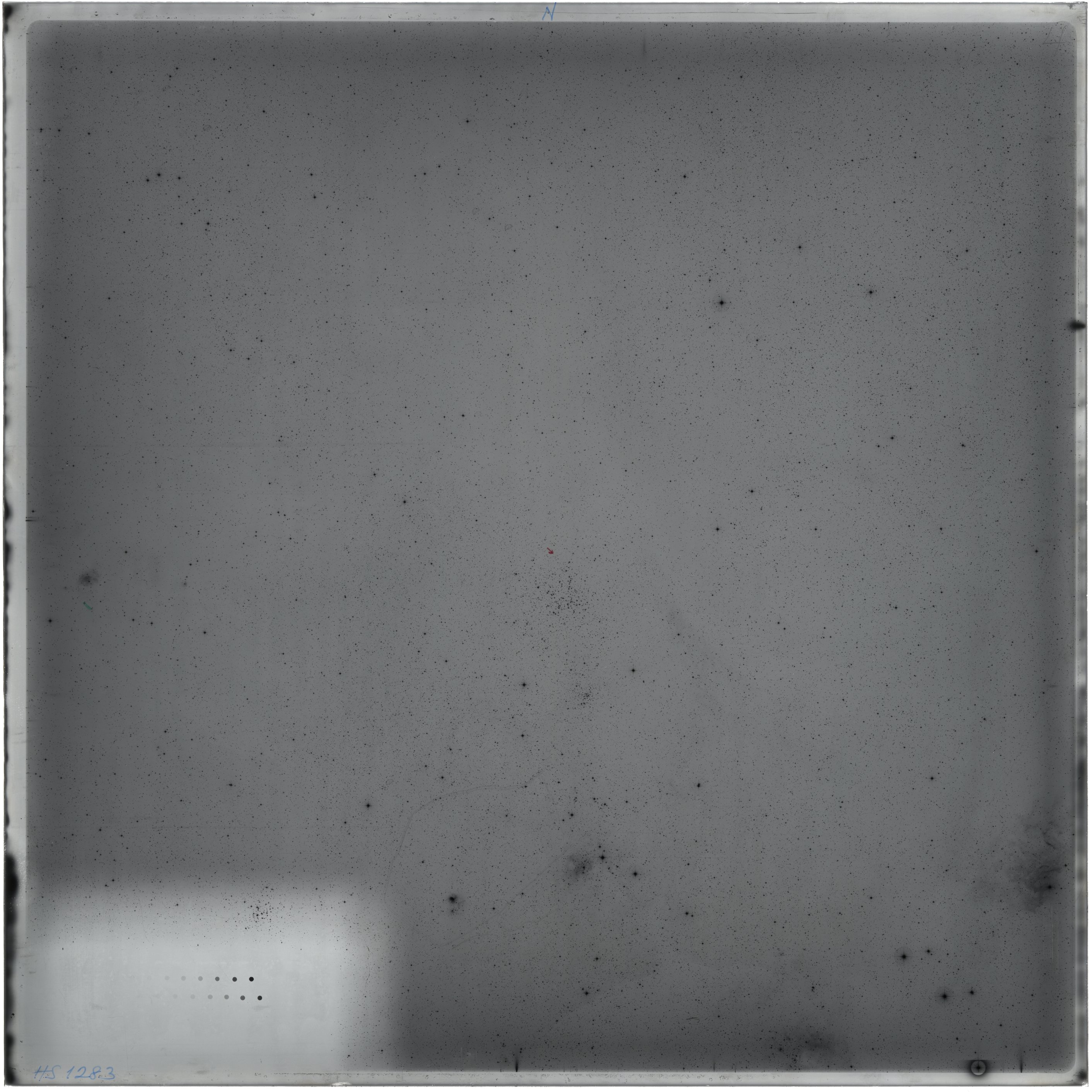 Scan HS01283