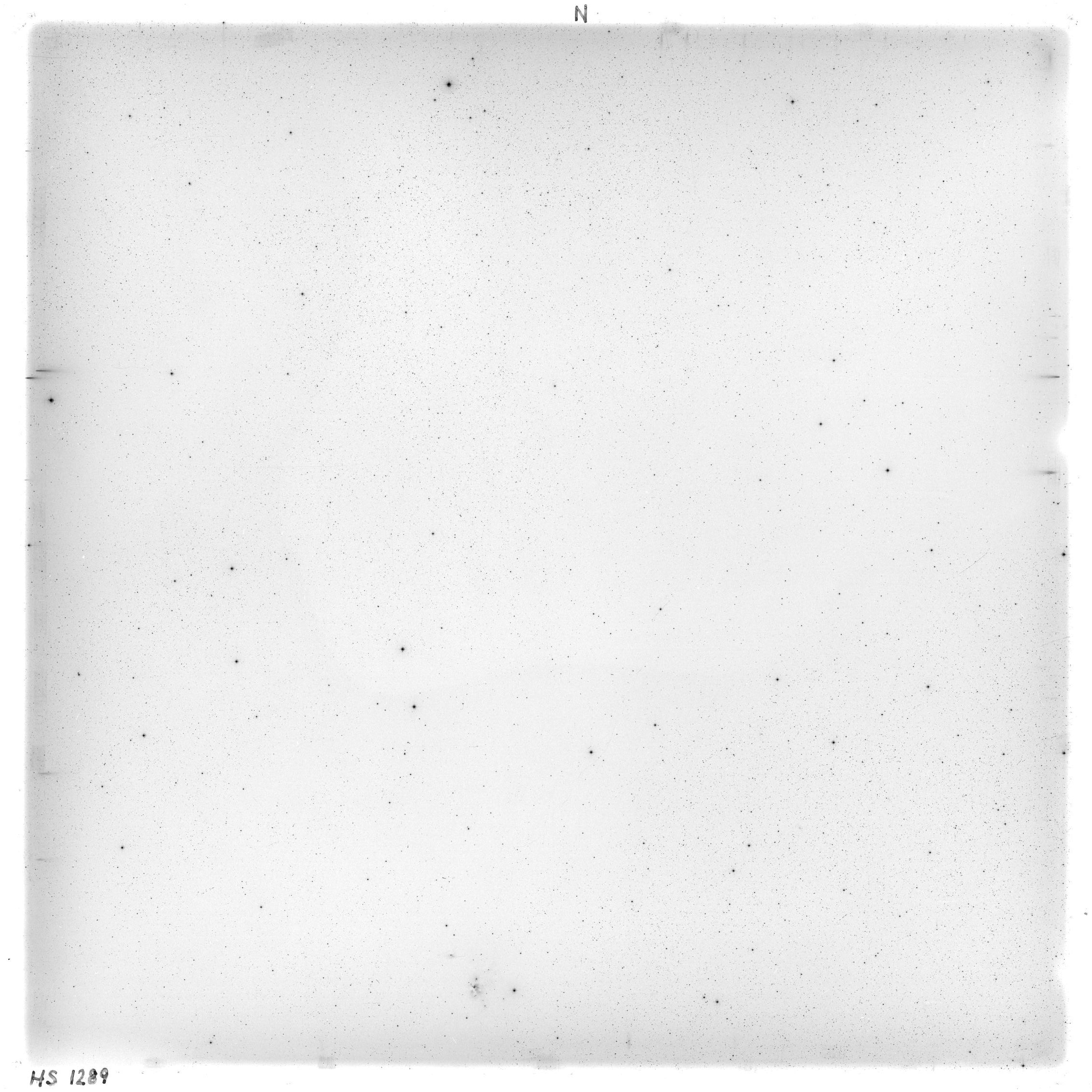 Scan HS01289