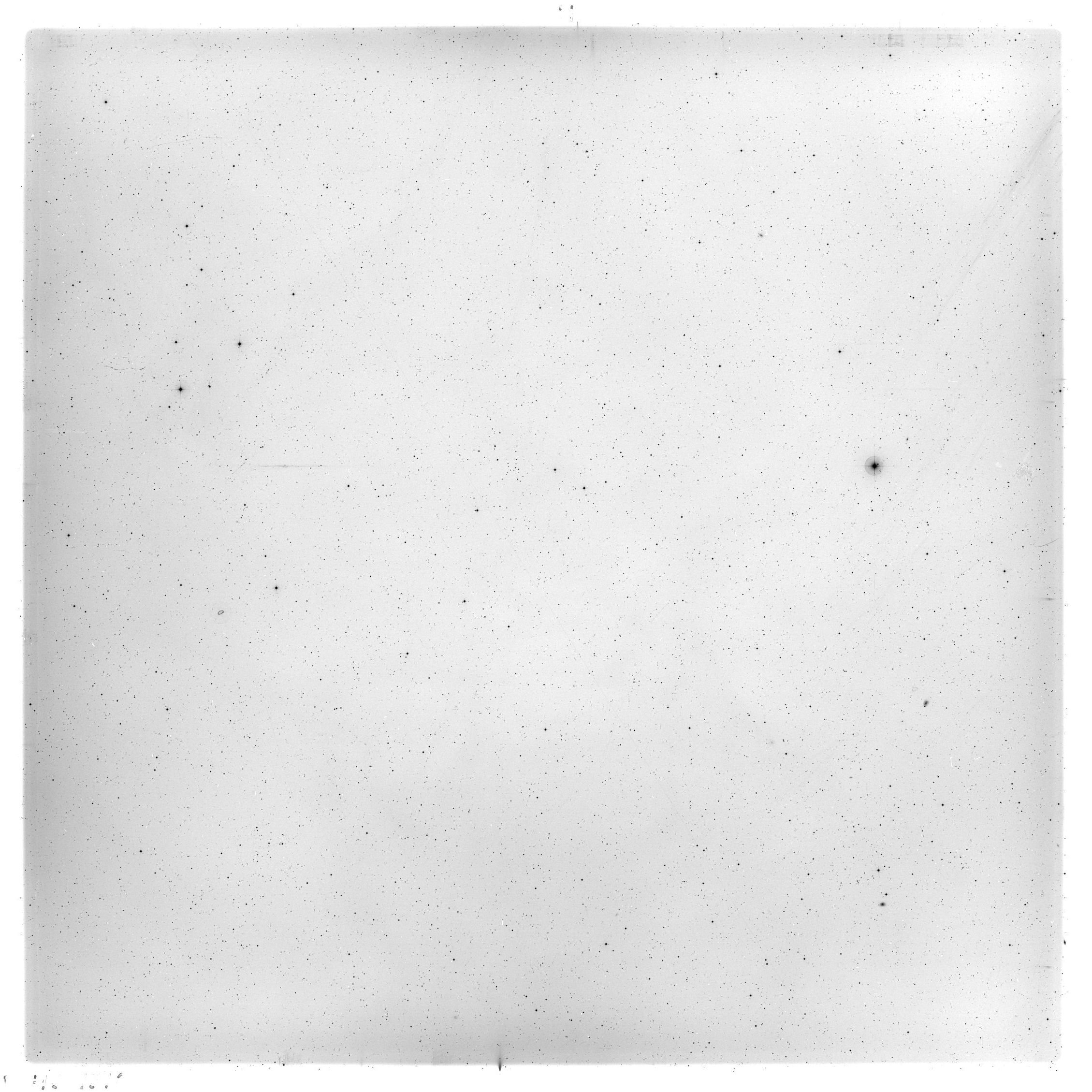 Scan HS01310