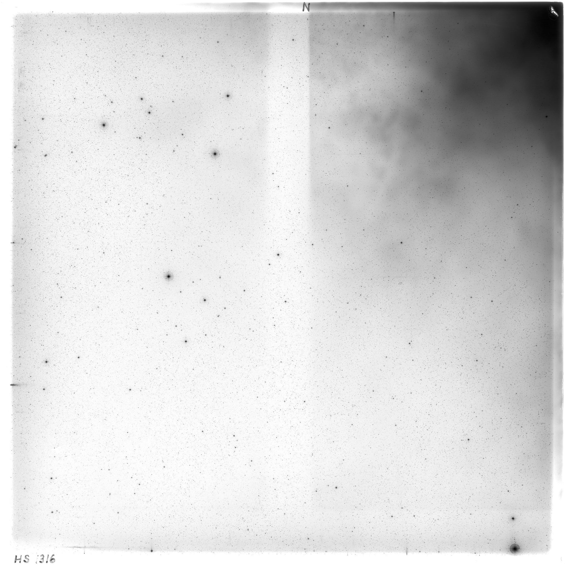 Scan HS01316