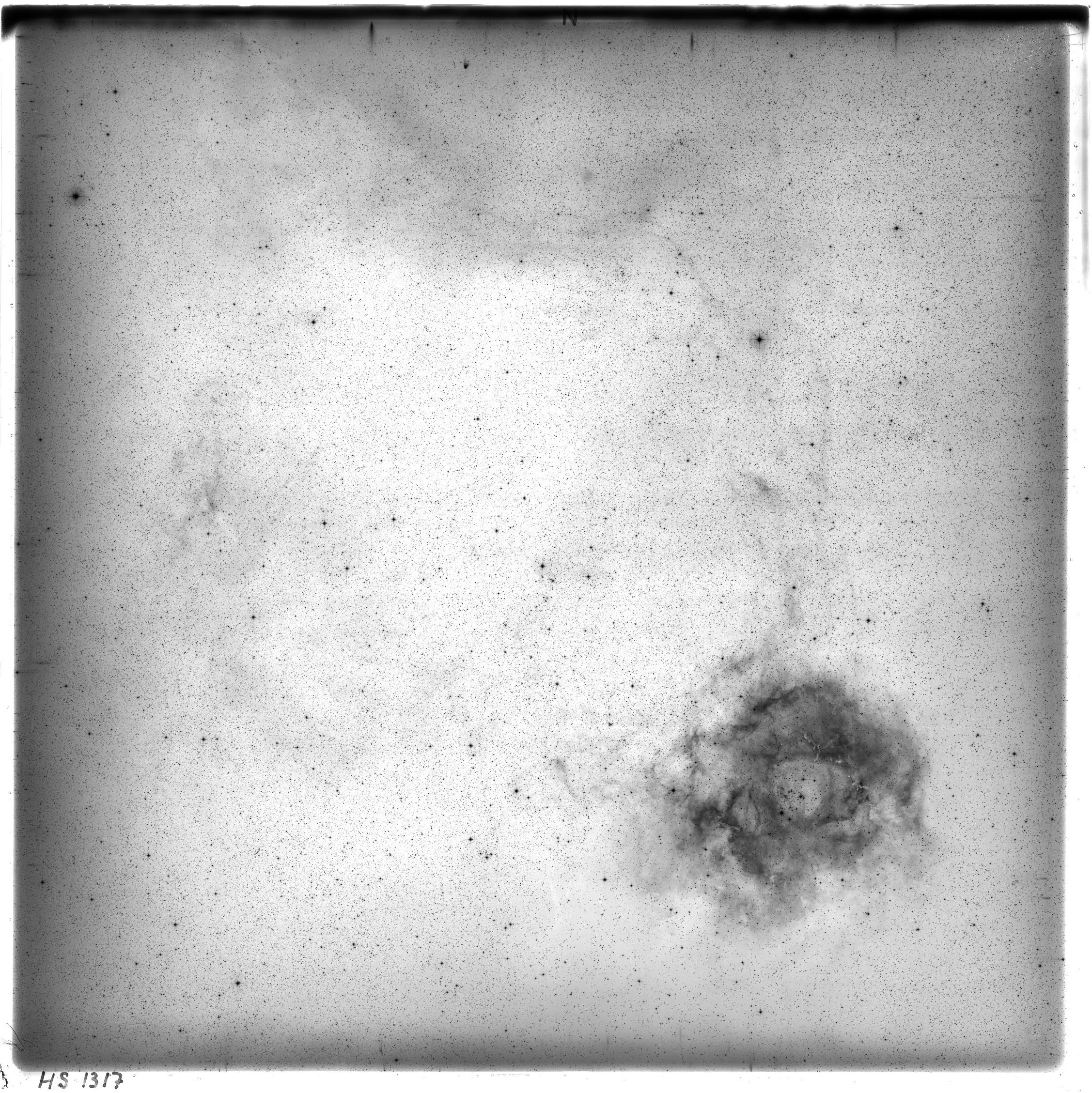 Scan HS01317