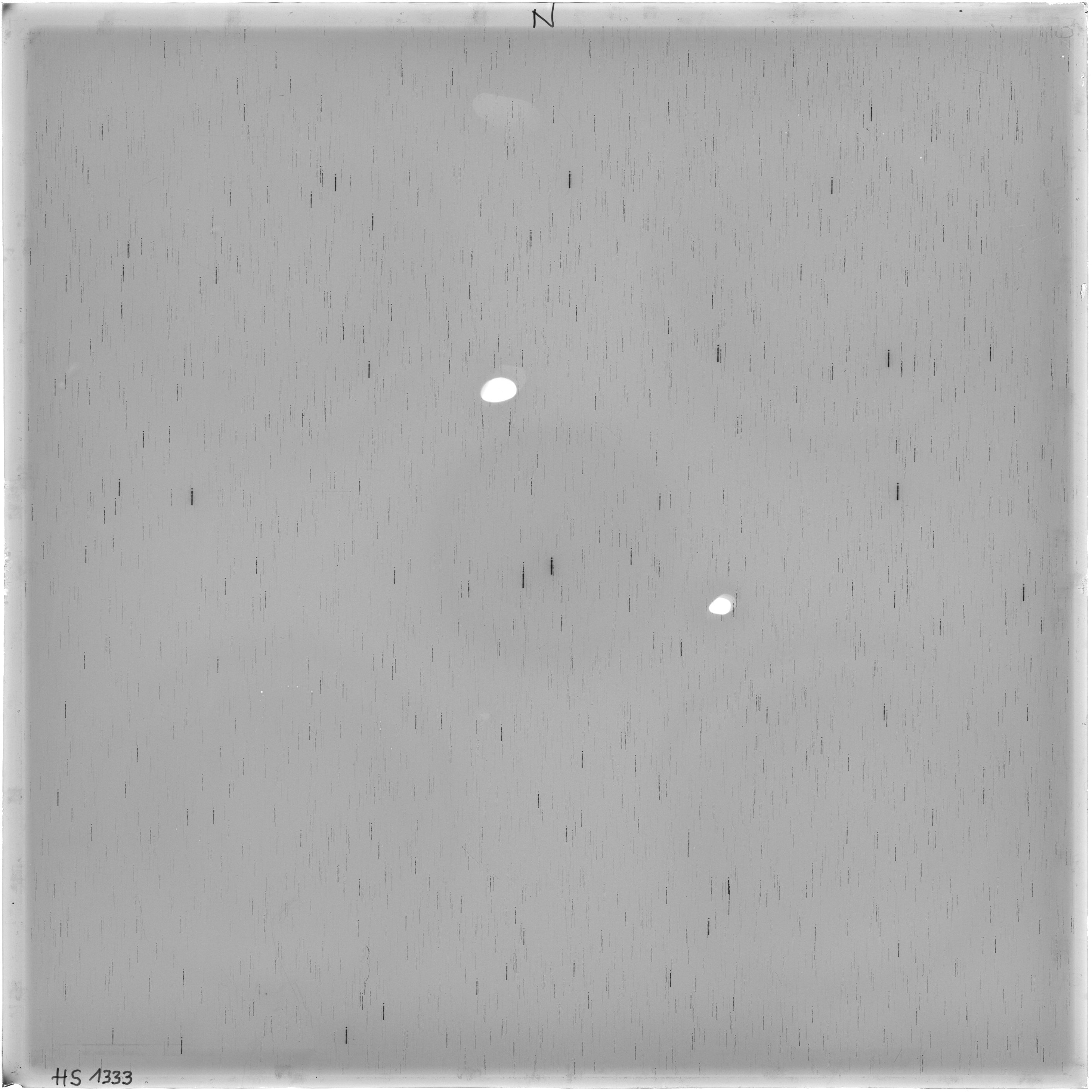 Scan HS01333