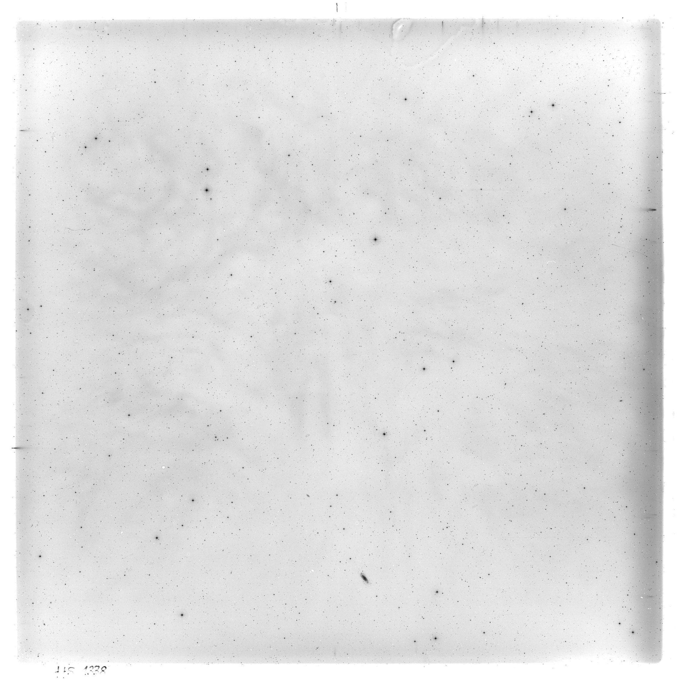 Scan HS01338