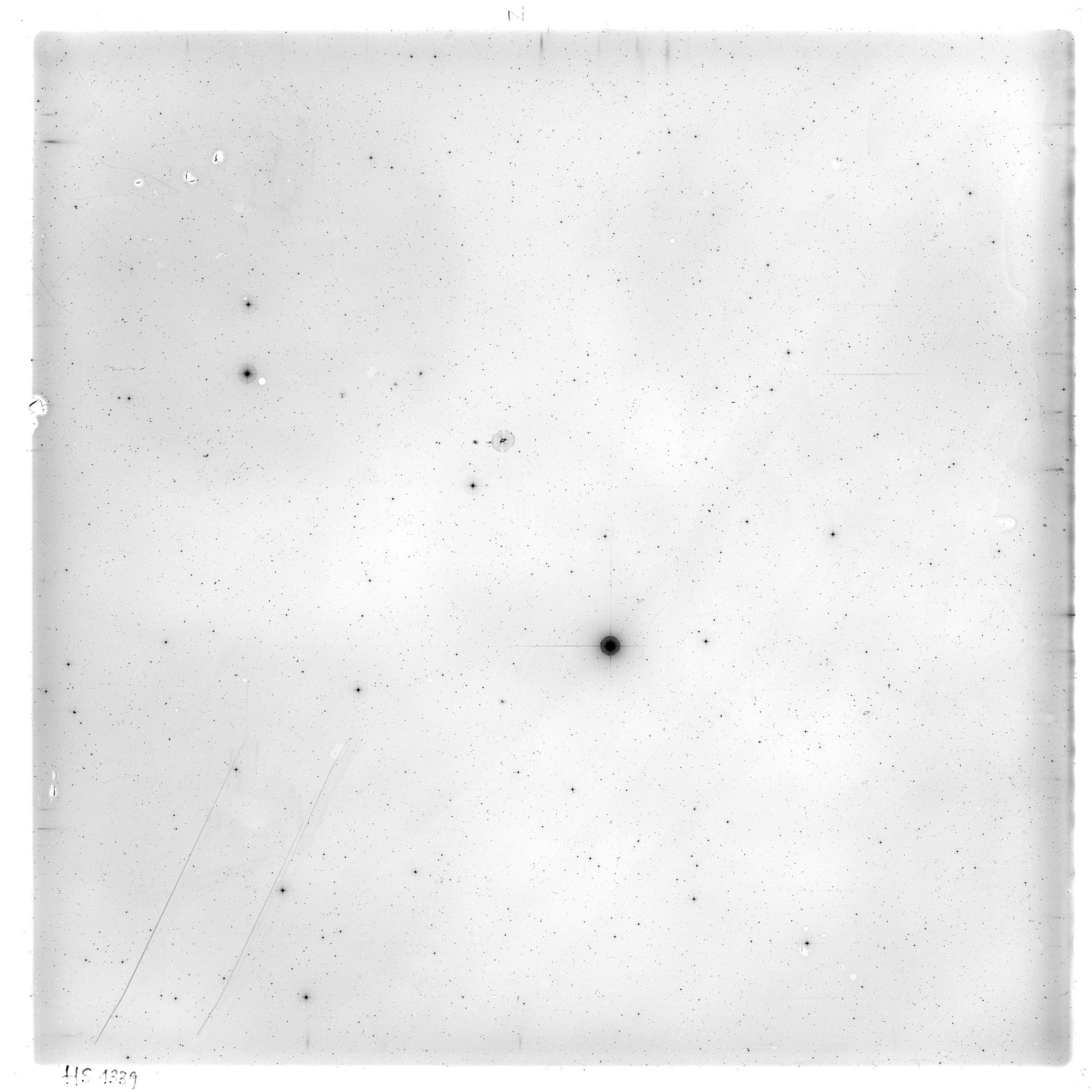 Scan HS01339