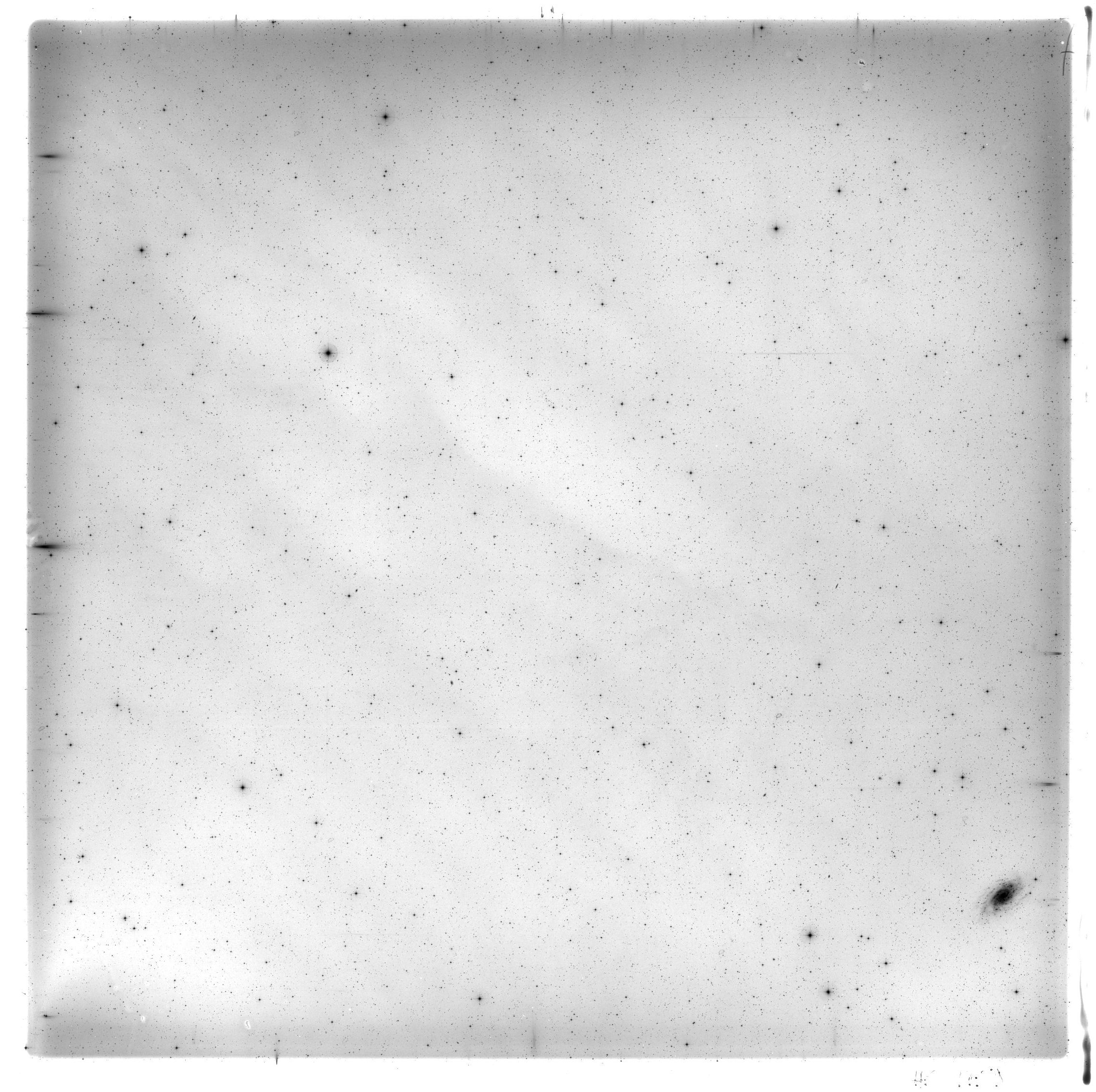 Scan HS01459