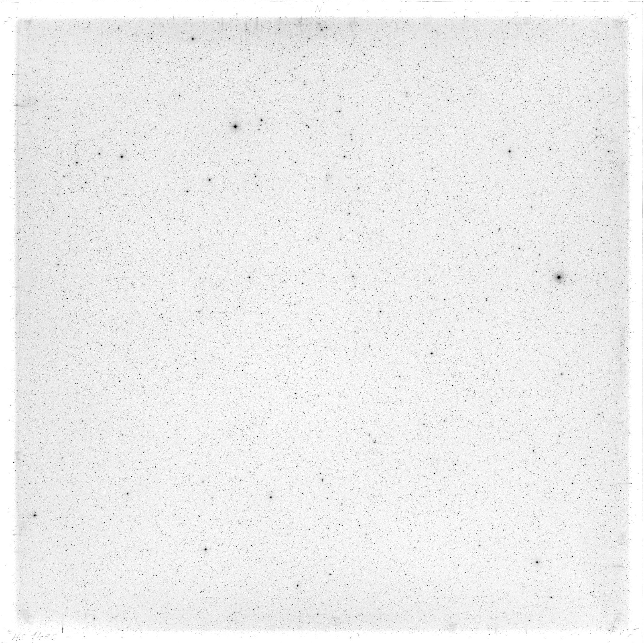 Scan HS01486