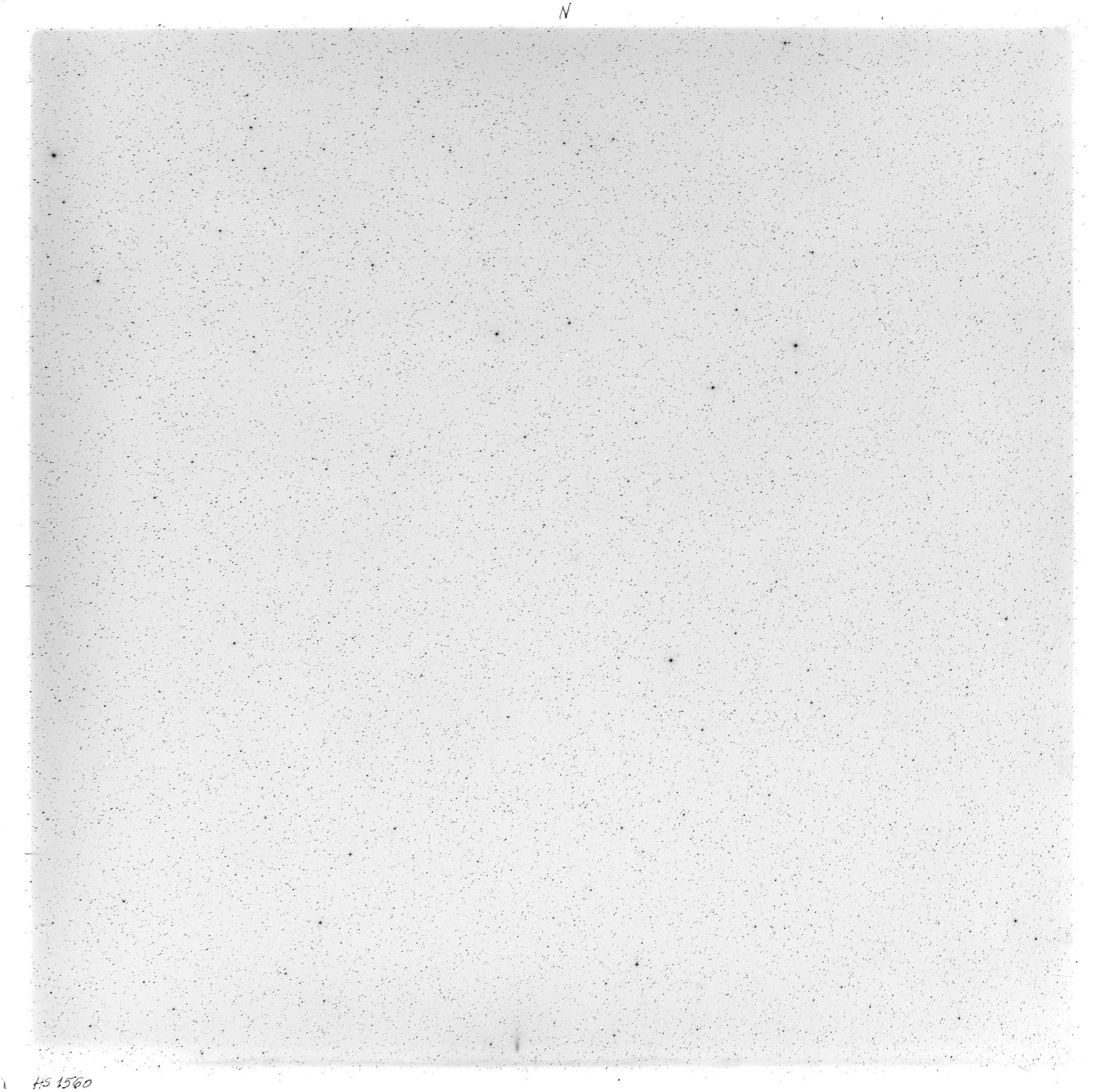 Scan HS01560