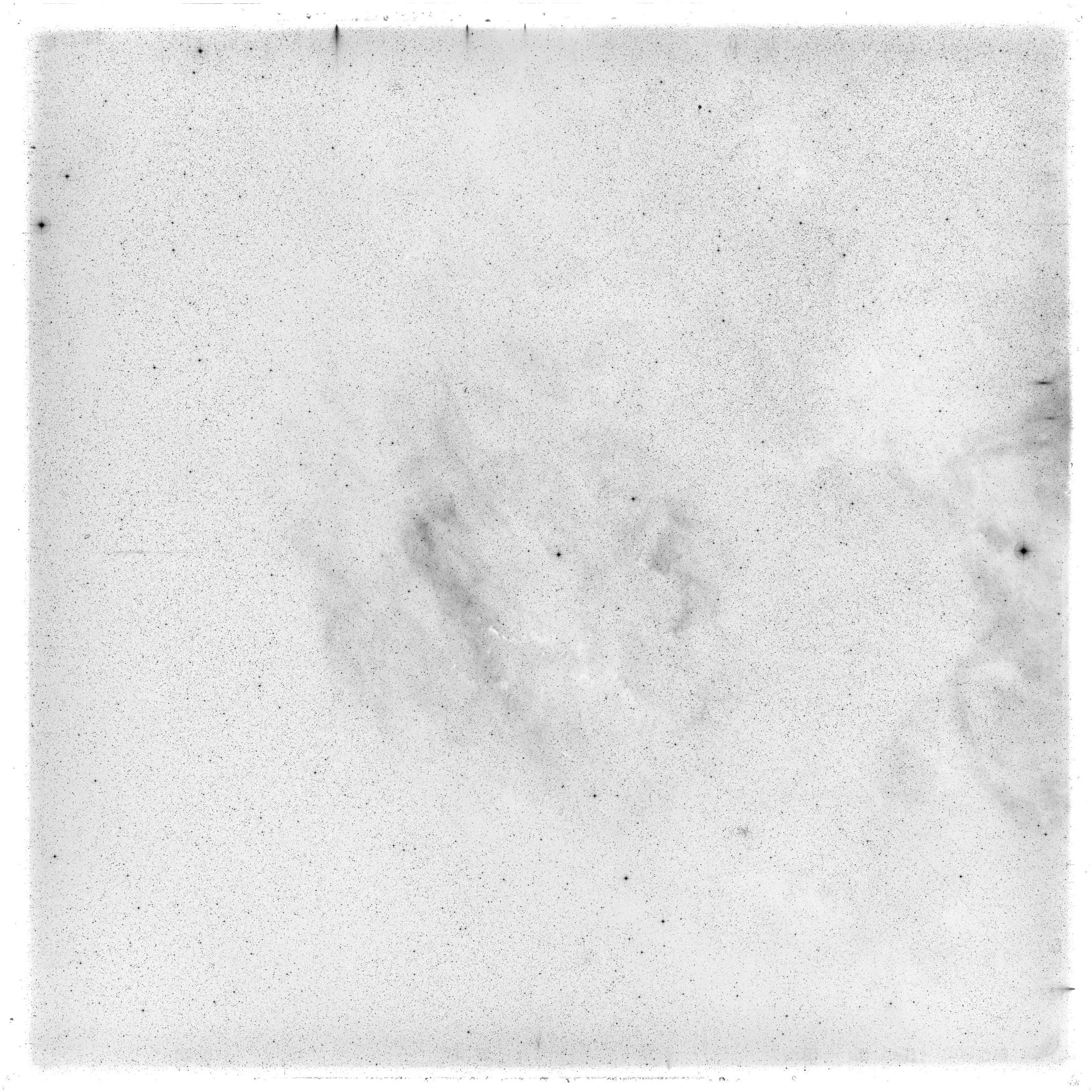 Scan HS01614