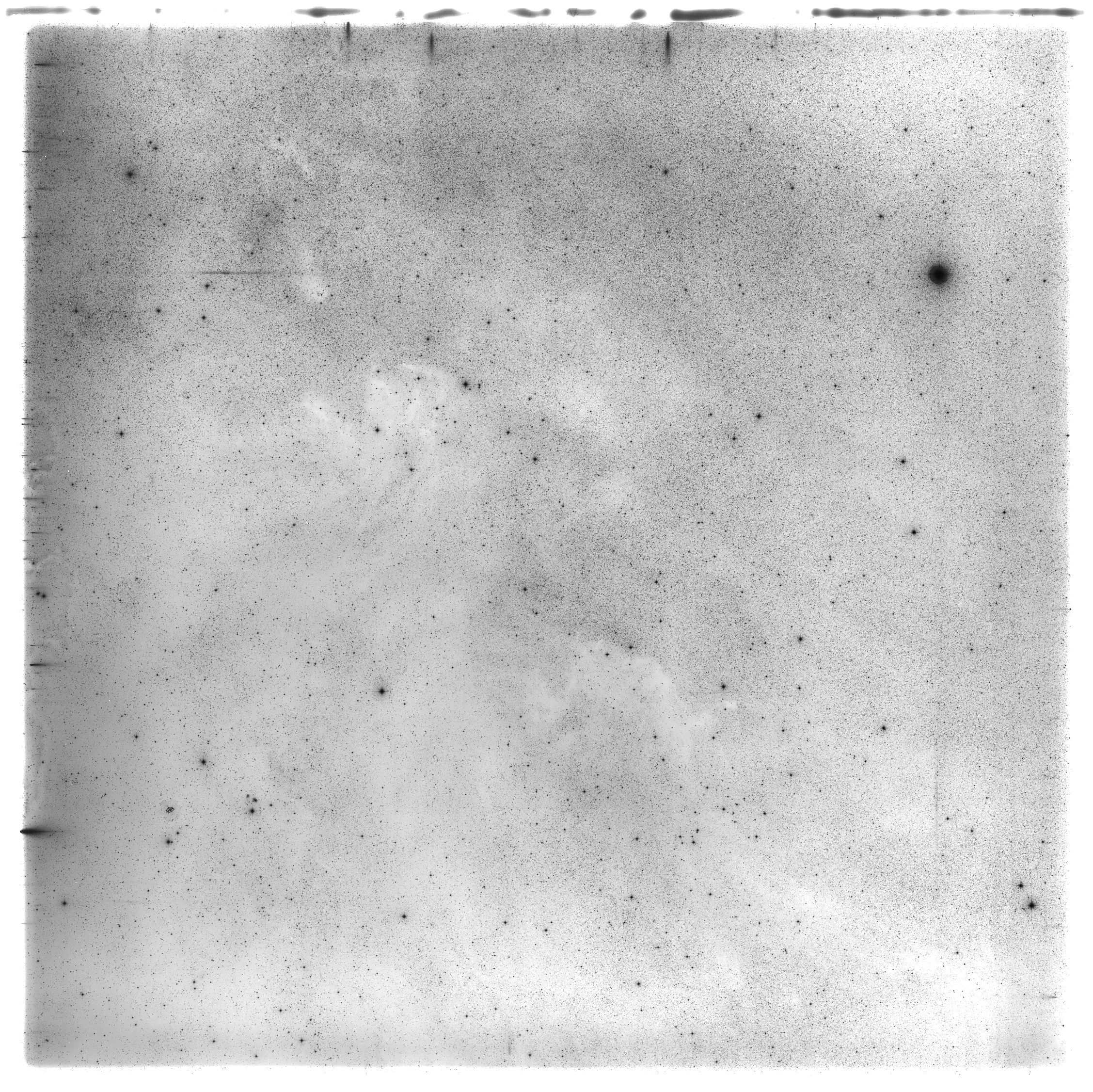 Scan HS01615