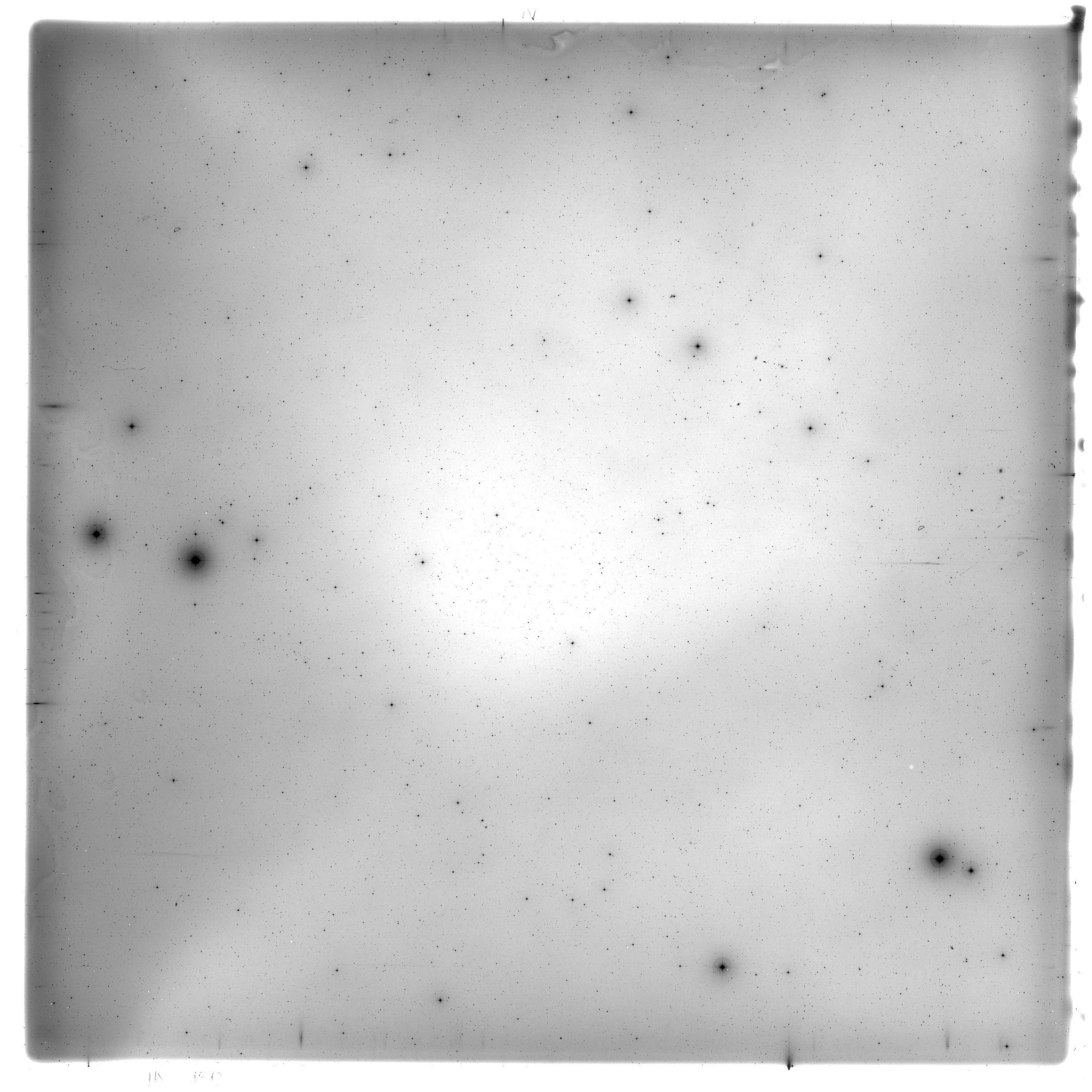 Scan HS01813