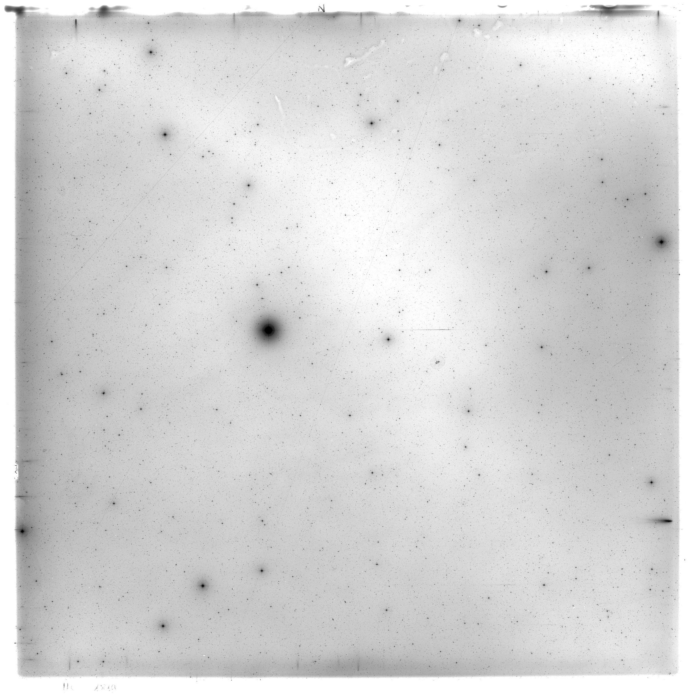 Scan HS01819