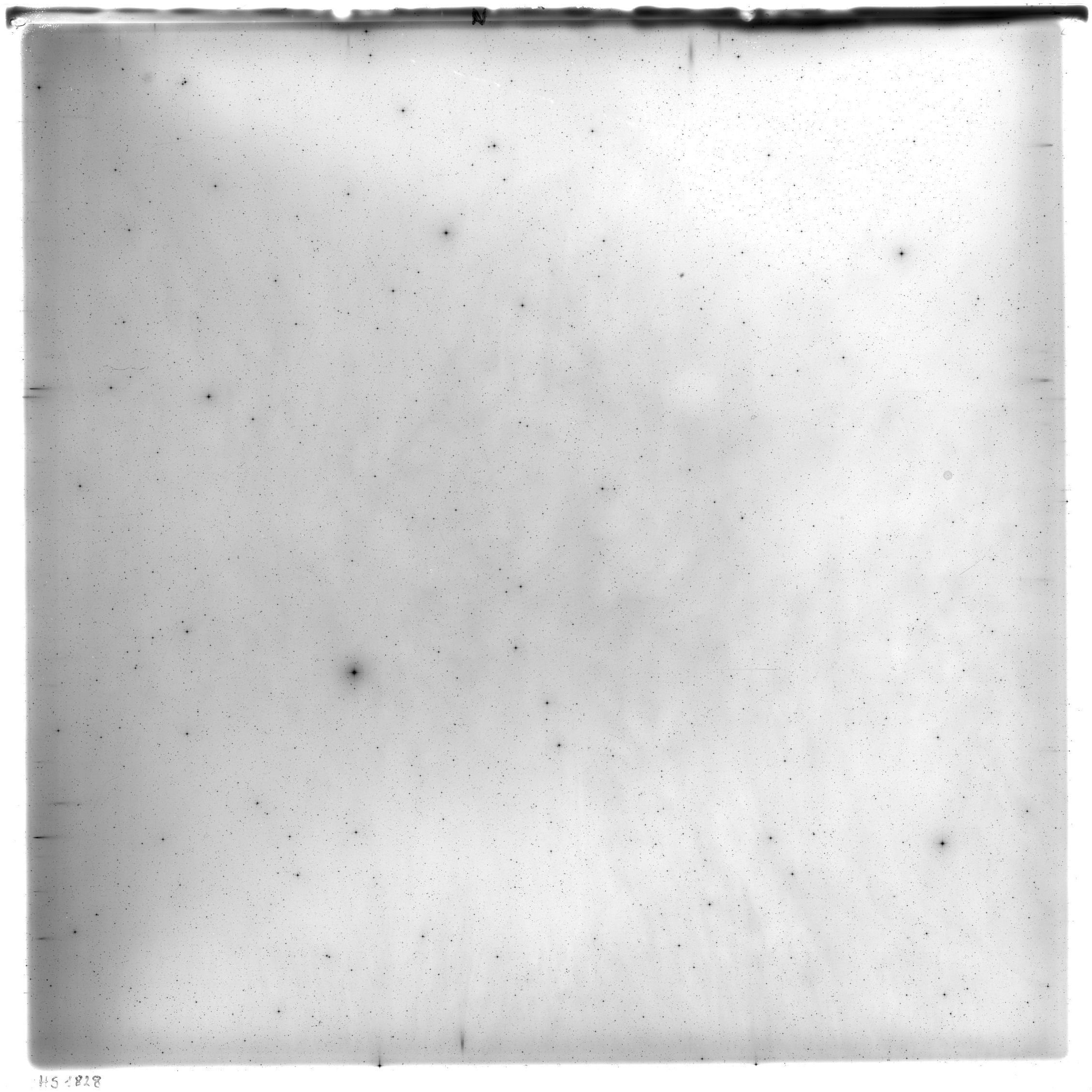 Scan HS01828
