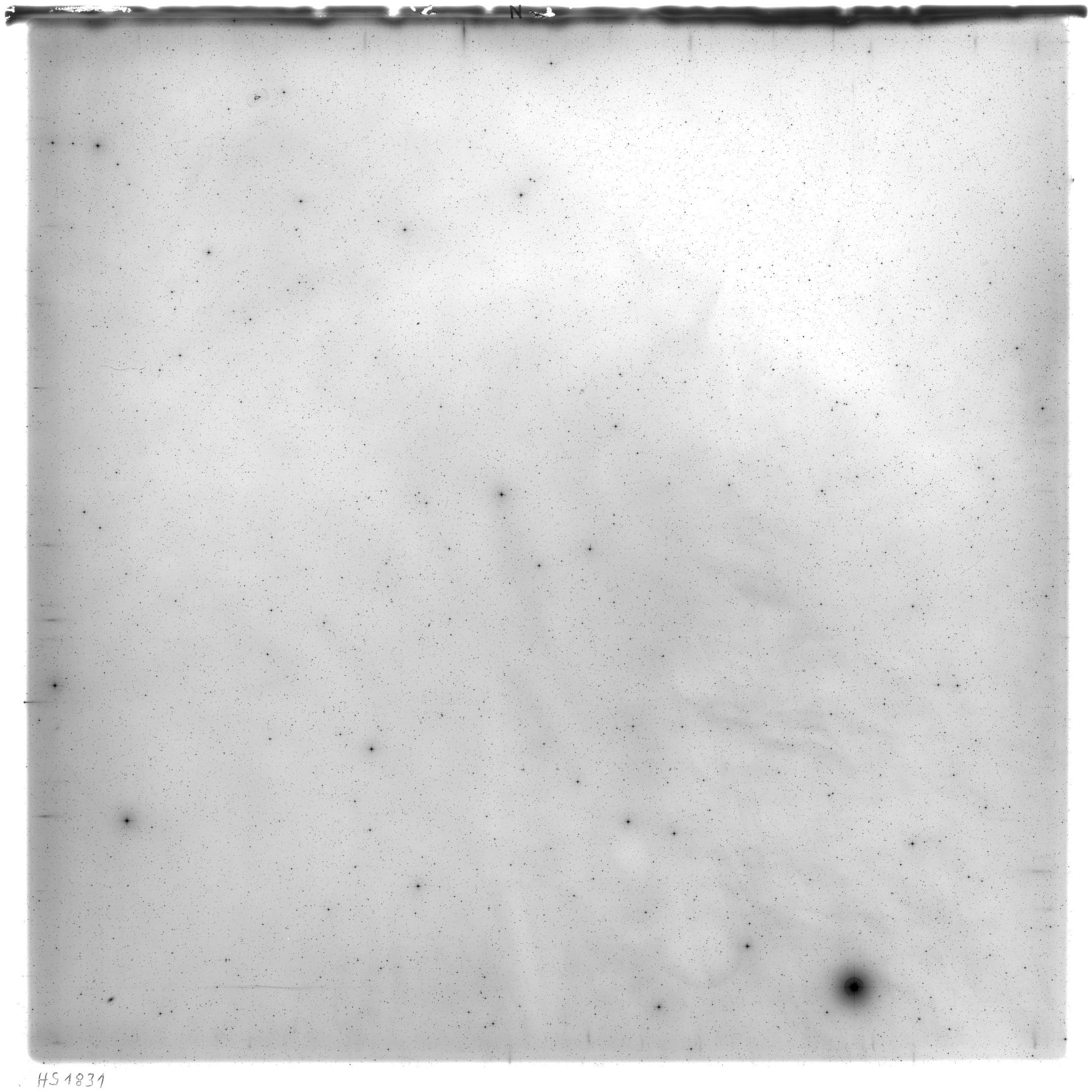 Scan HS01831