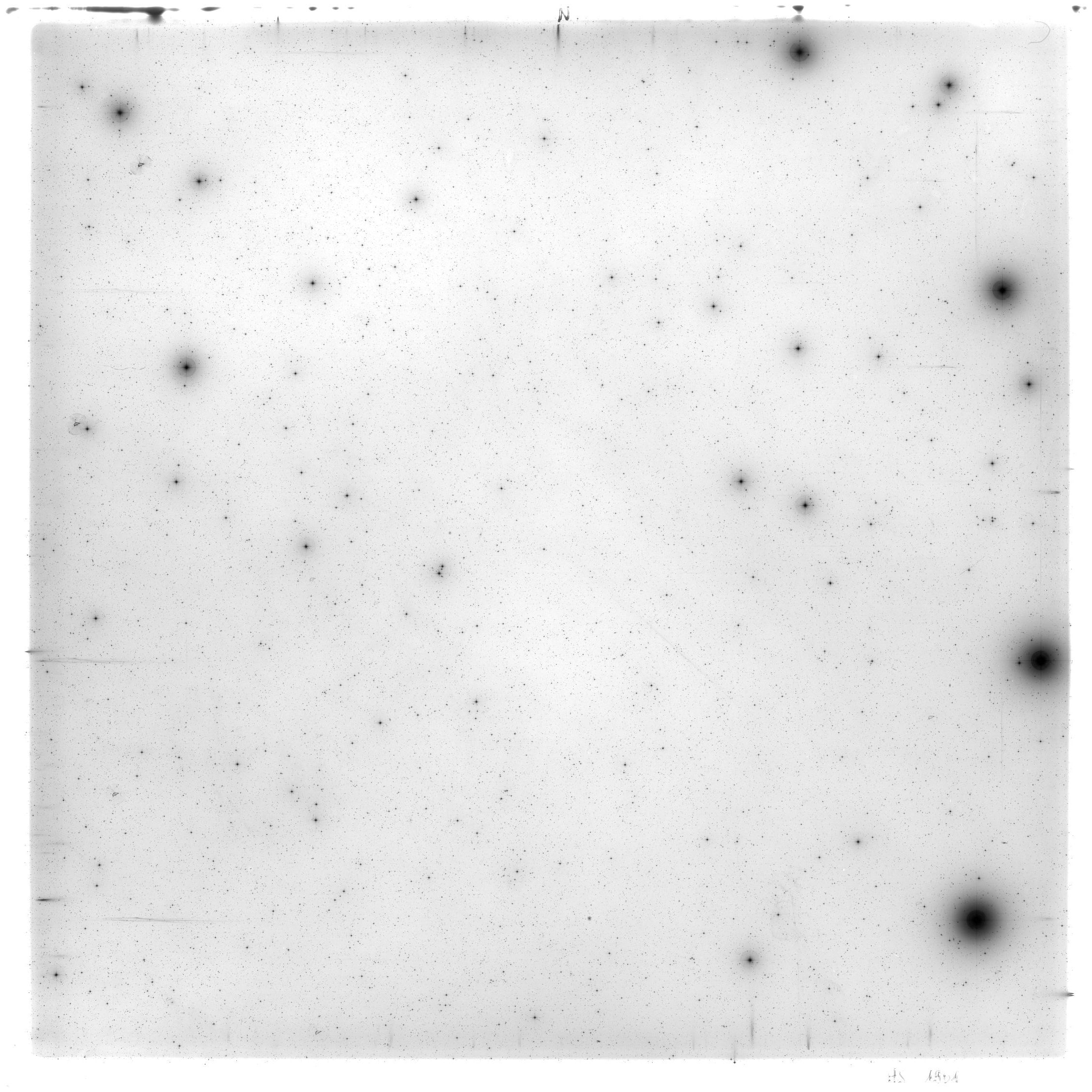Scan HS01901