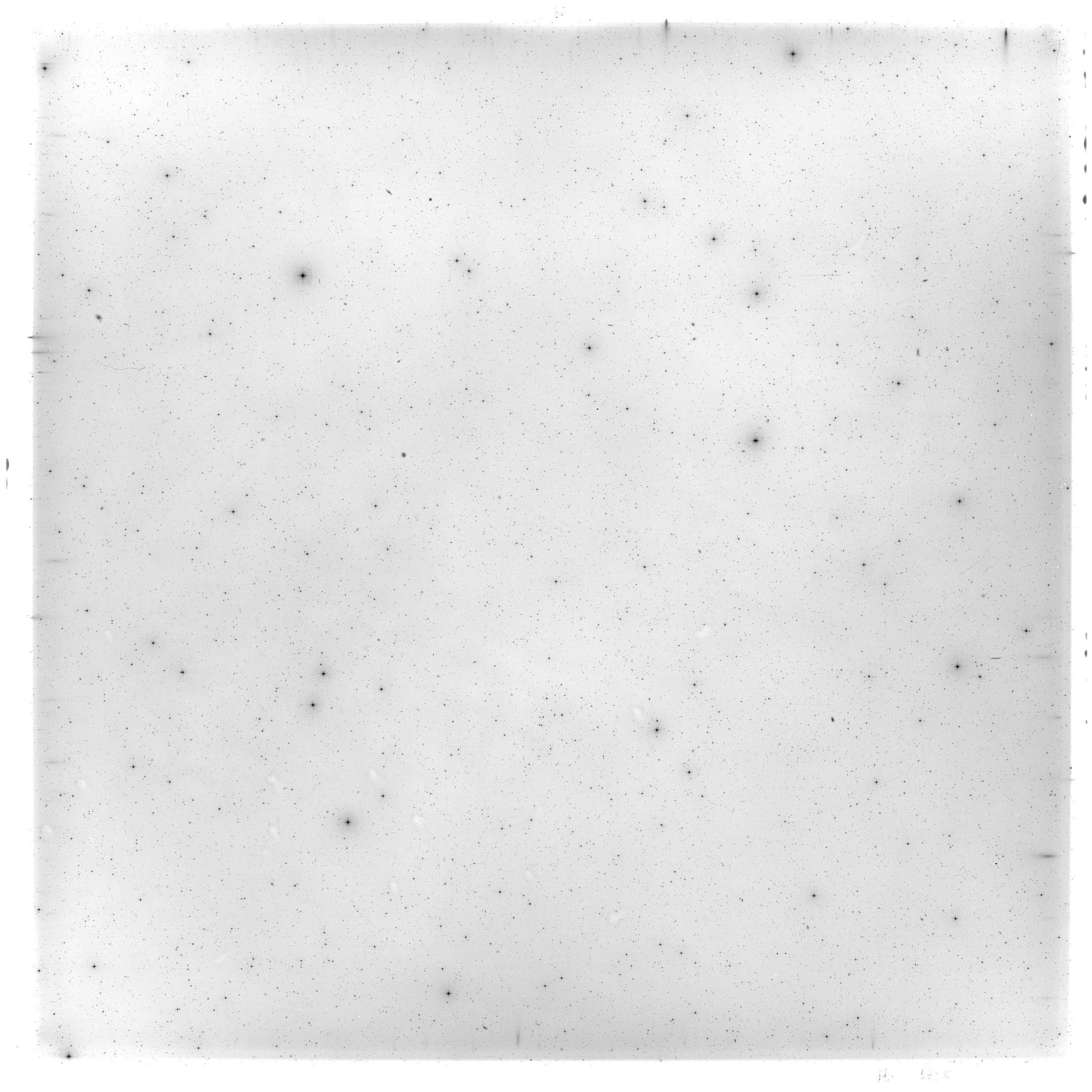 Scan HS01905