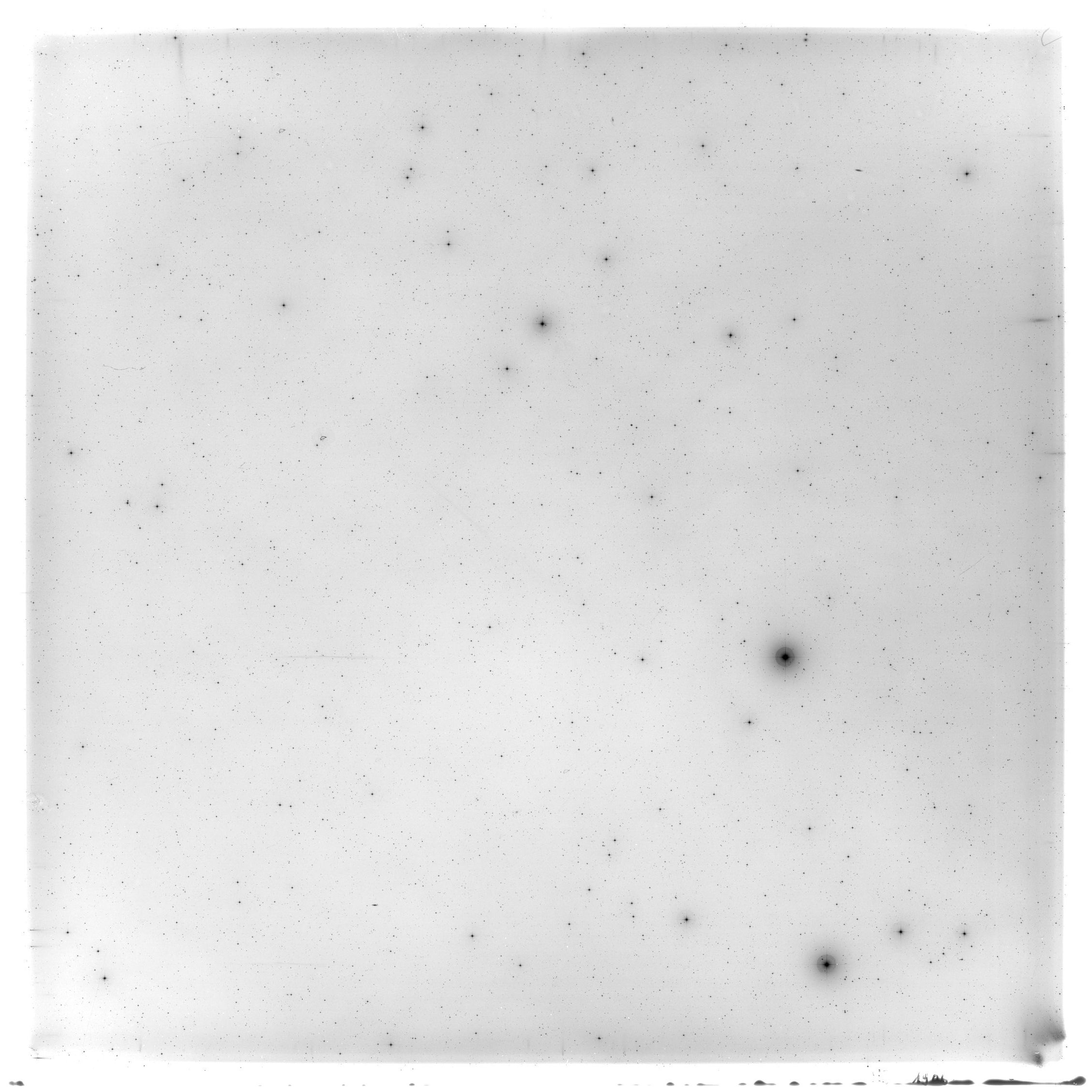 Scan HS01906
