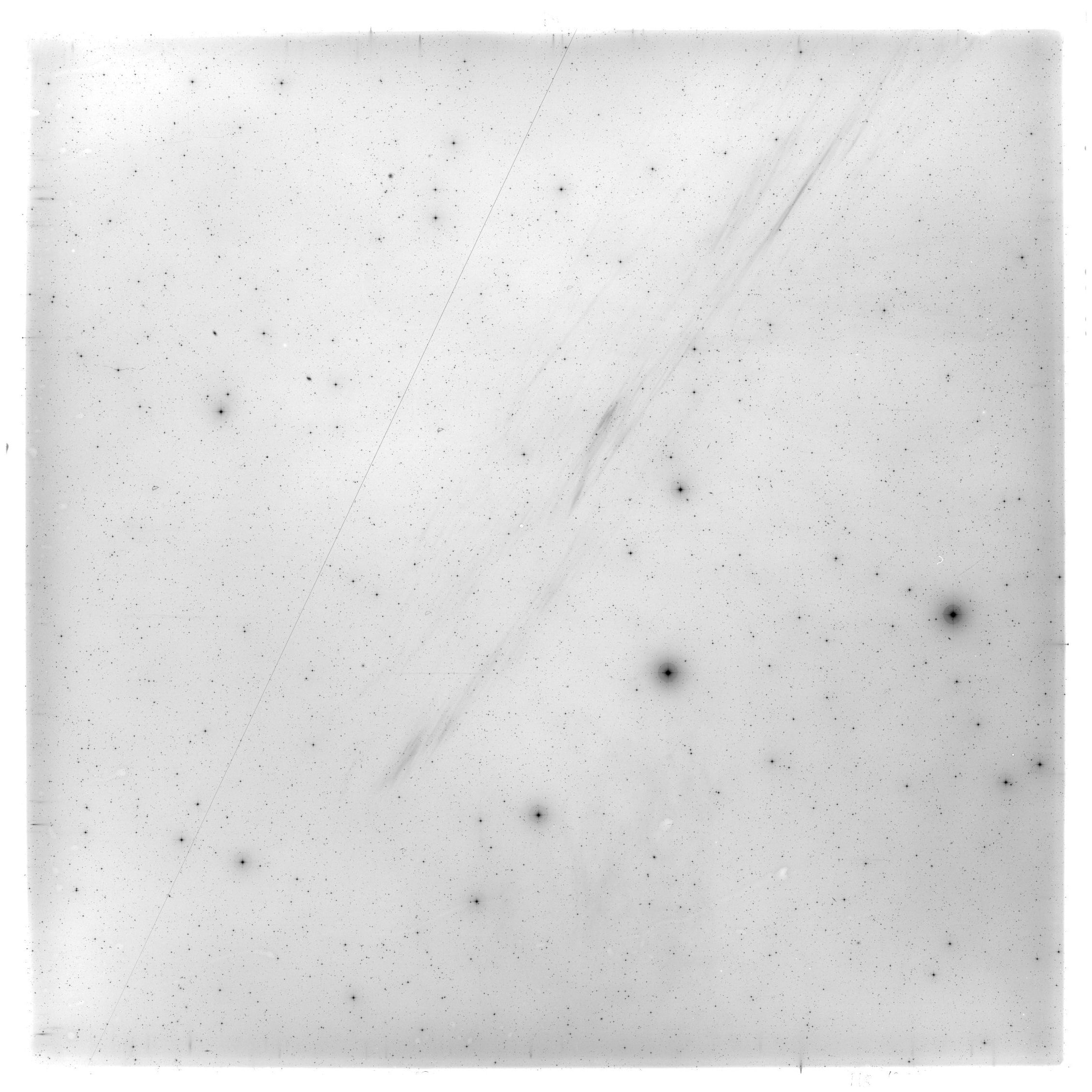 Scan HS01913