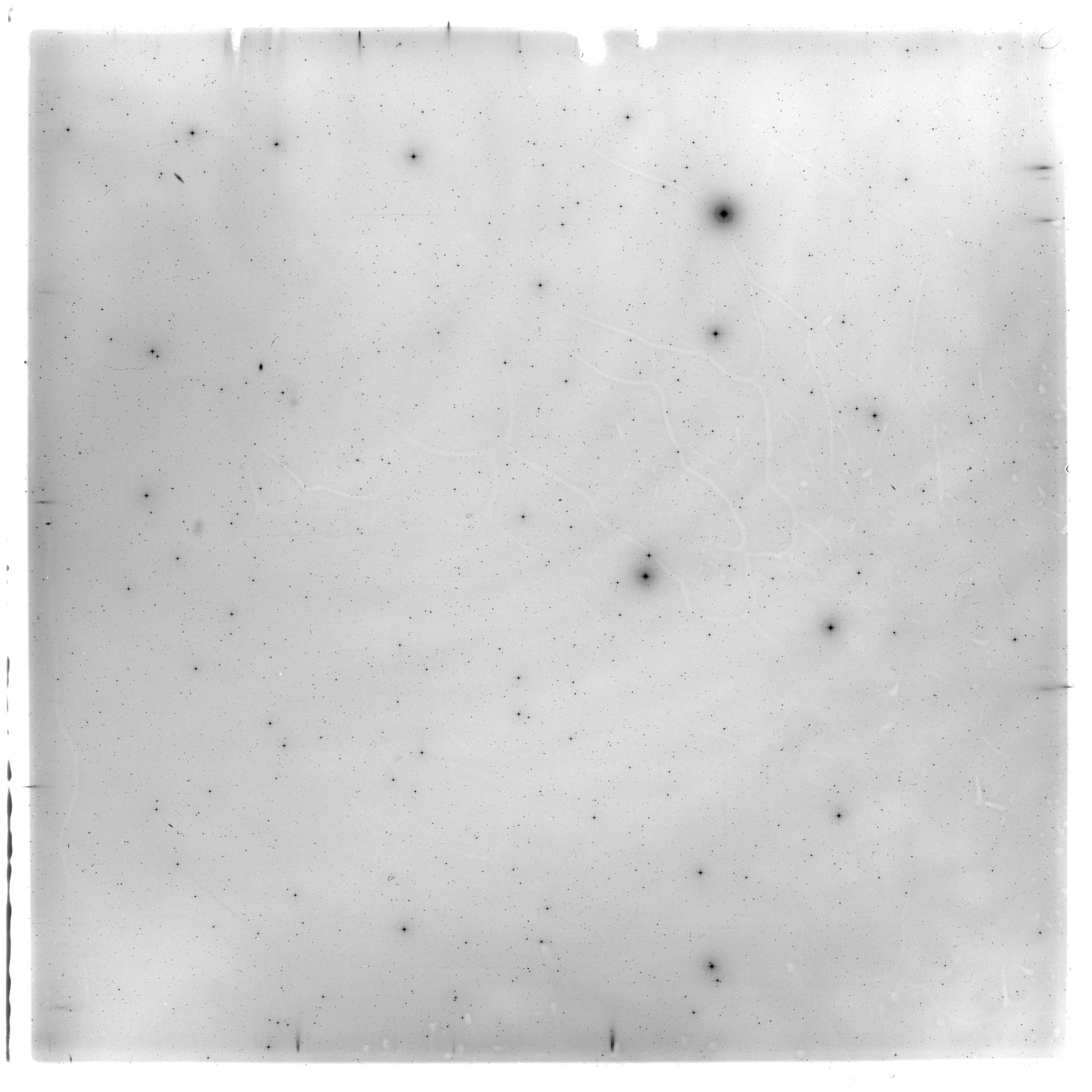 Scan HS01914