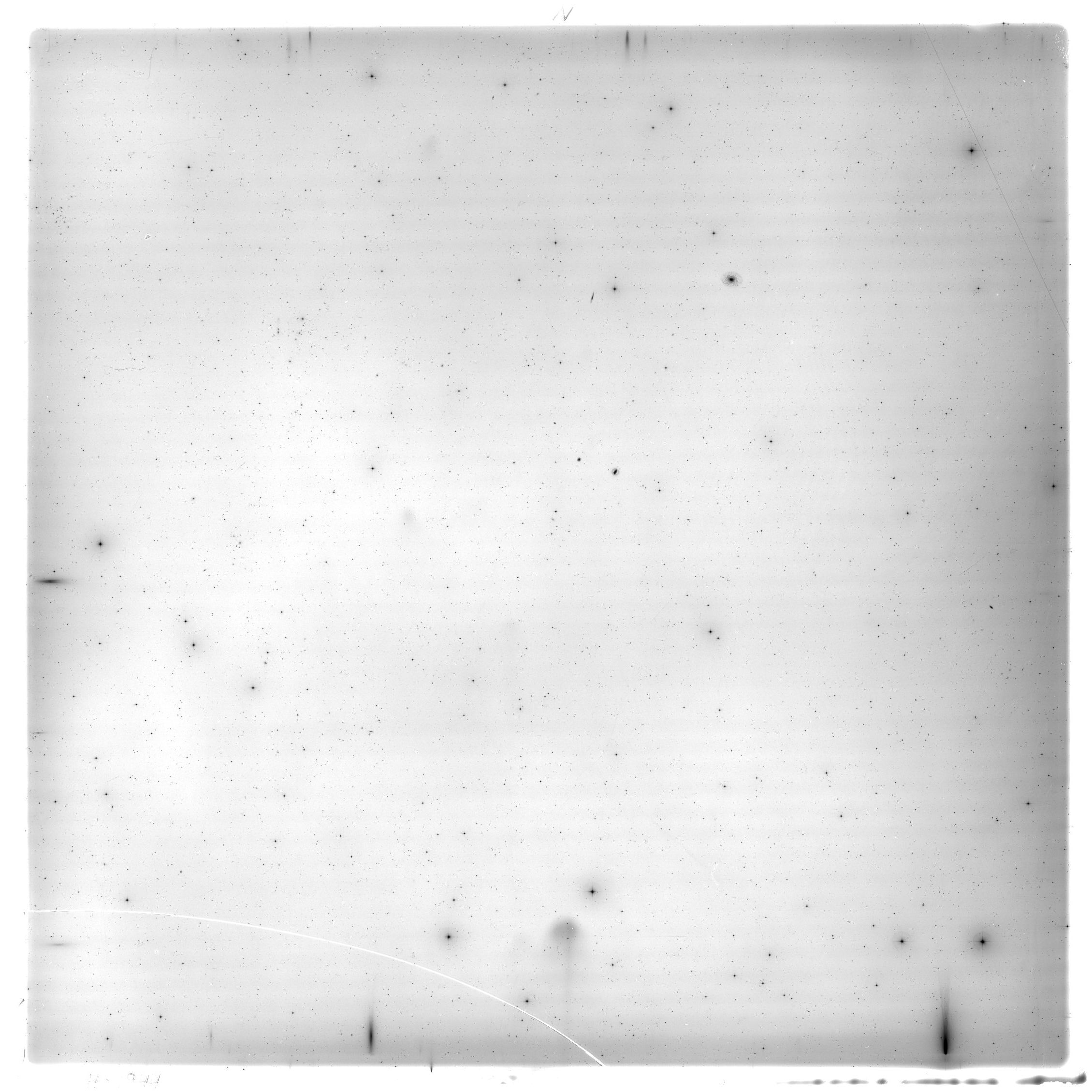 Scan HS01944