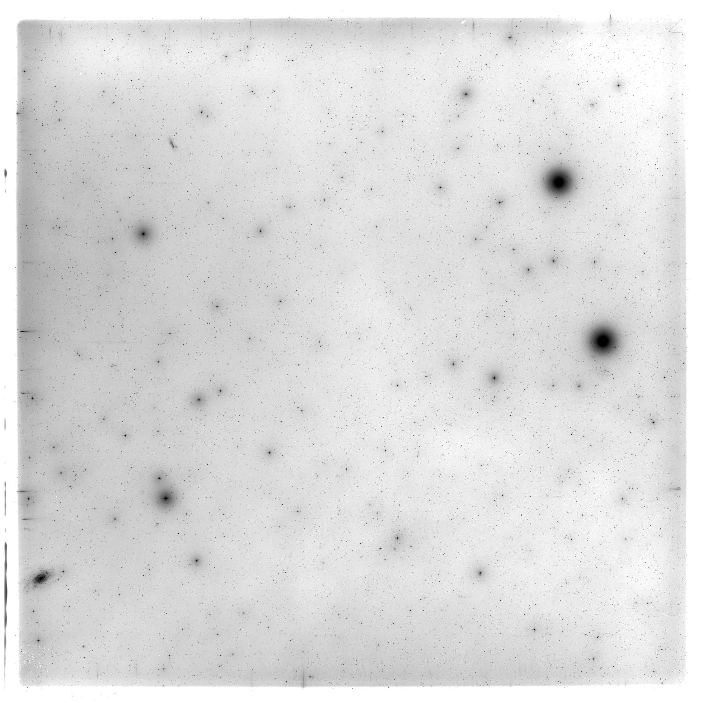 Scan HS01949