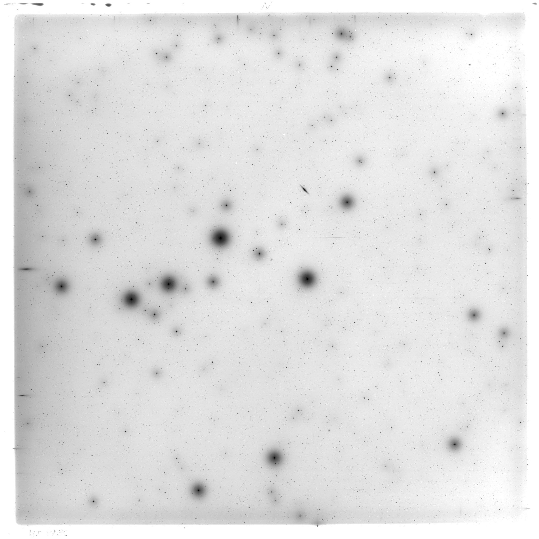 Scan HS01950