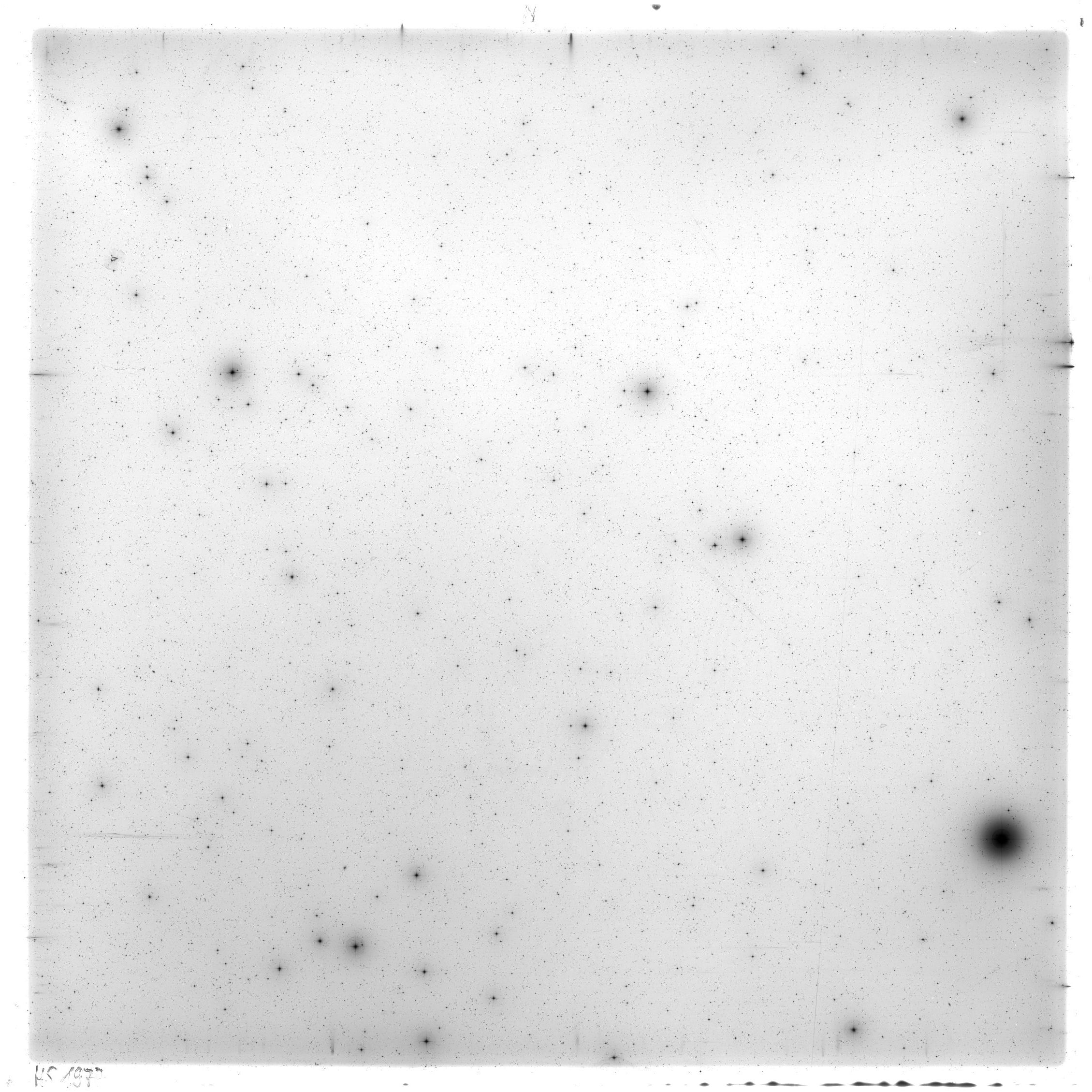 Scan HS01977