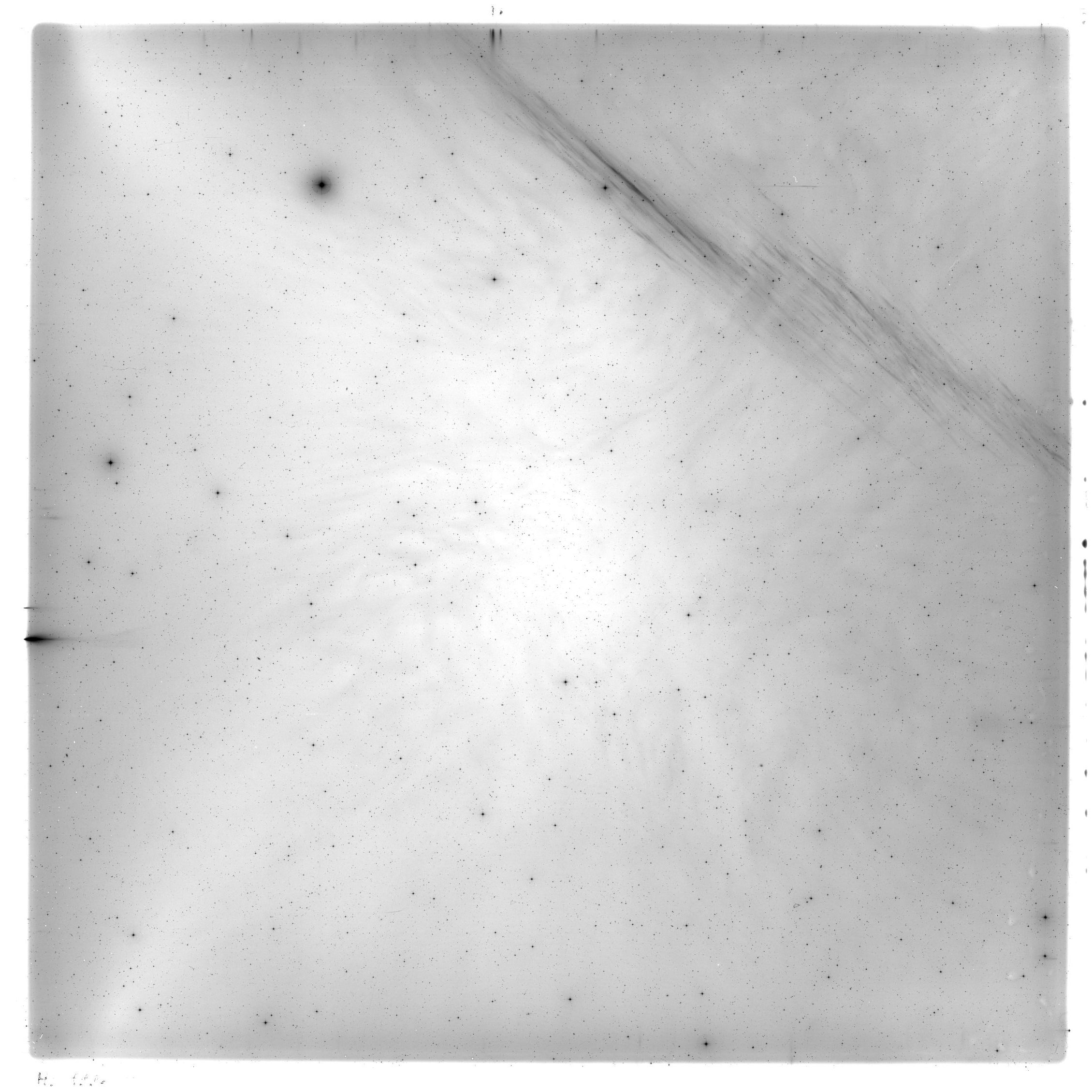 Scan HS01996