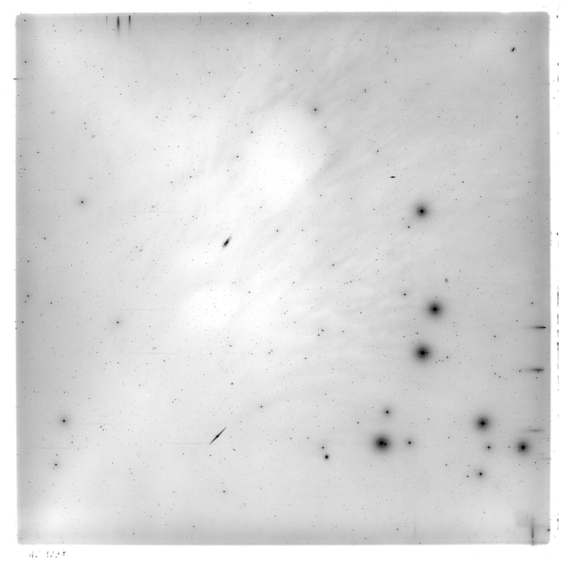 Scan HS01998