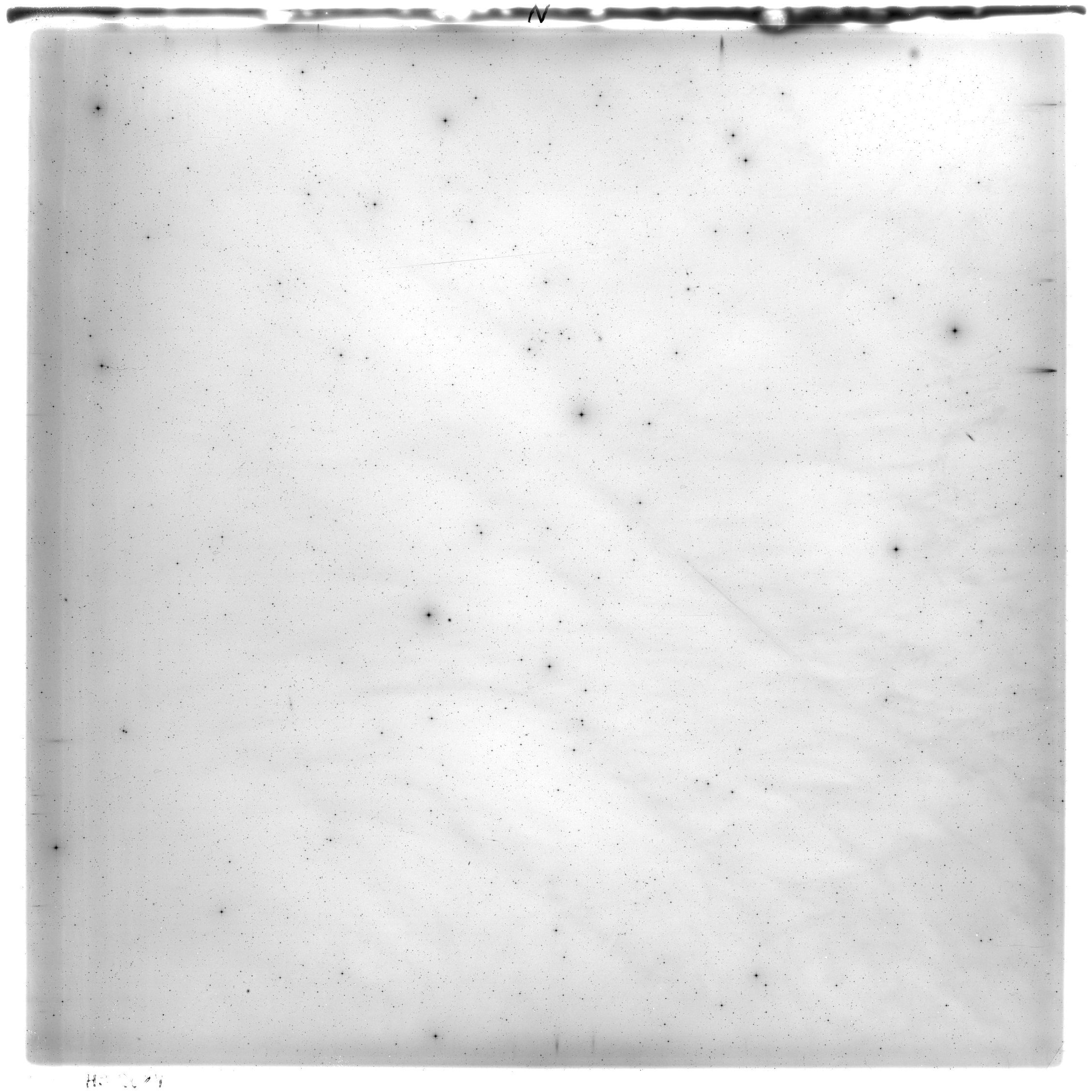 Scan HS02084