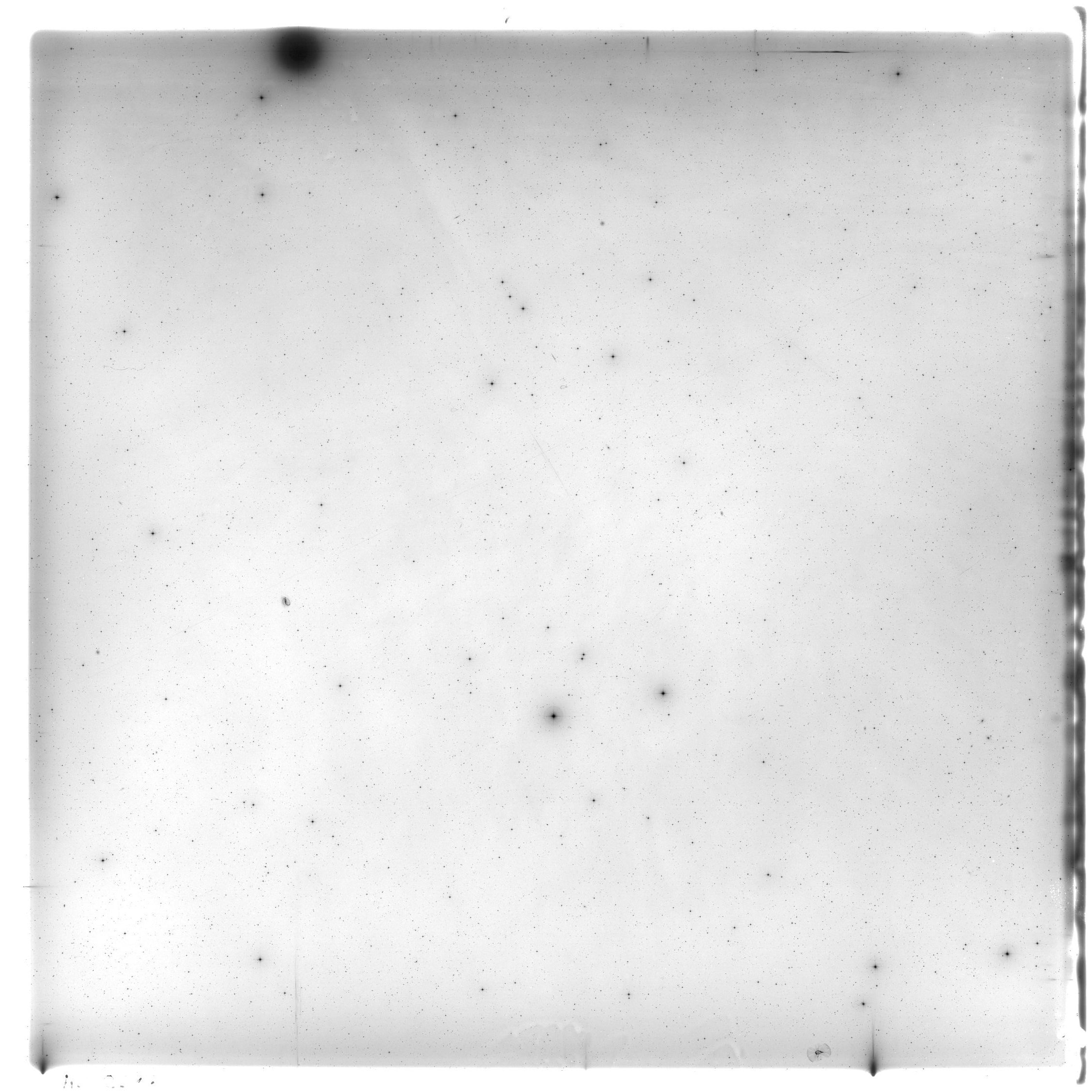 Scan HS02086