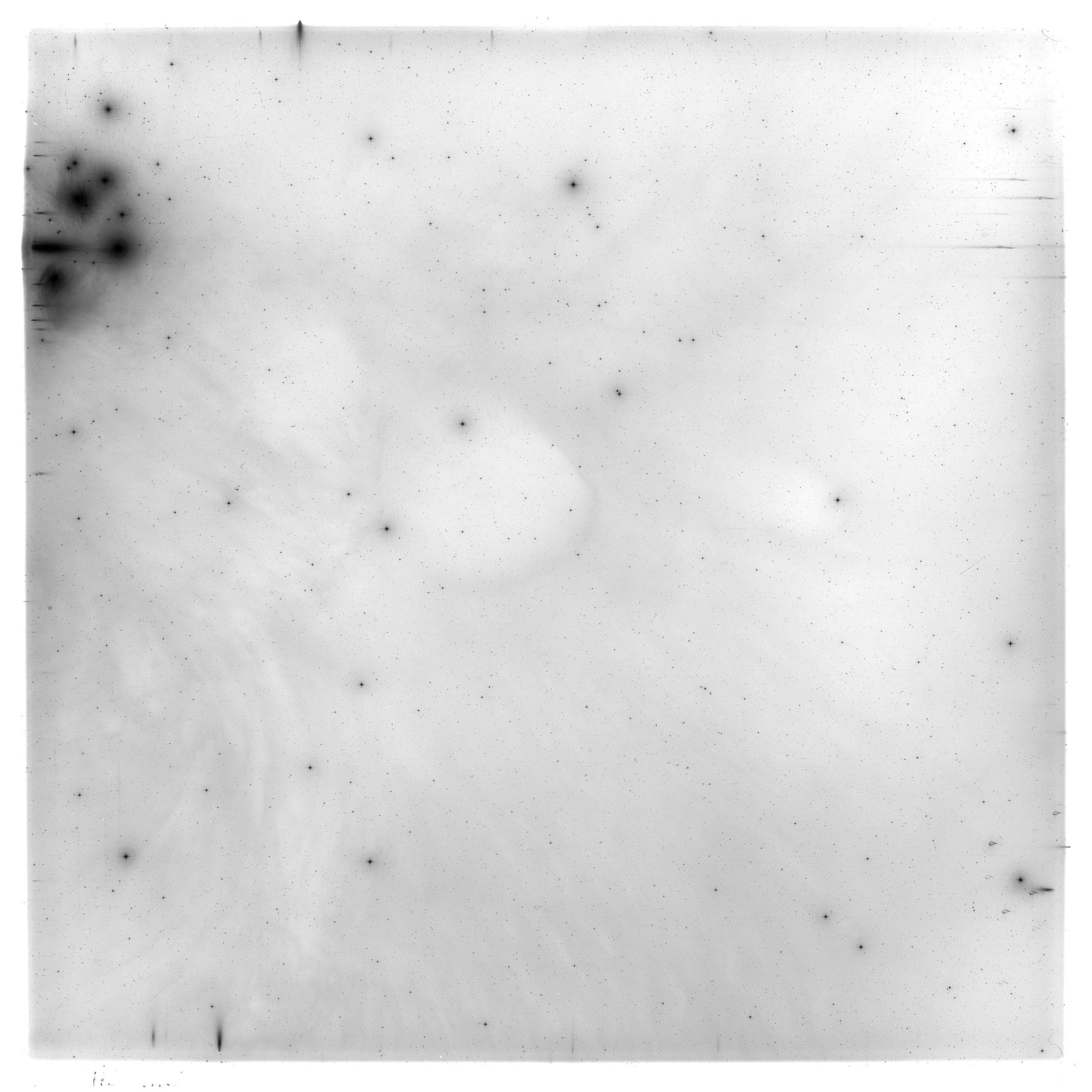 Scan HS02115