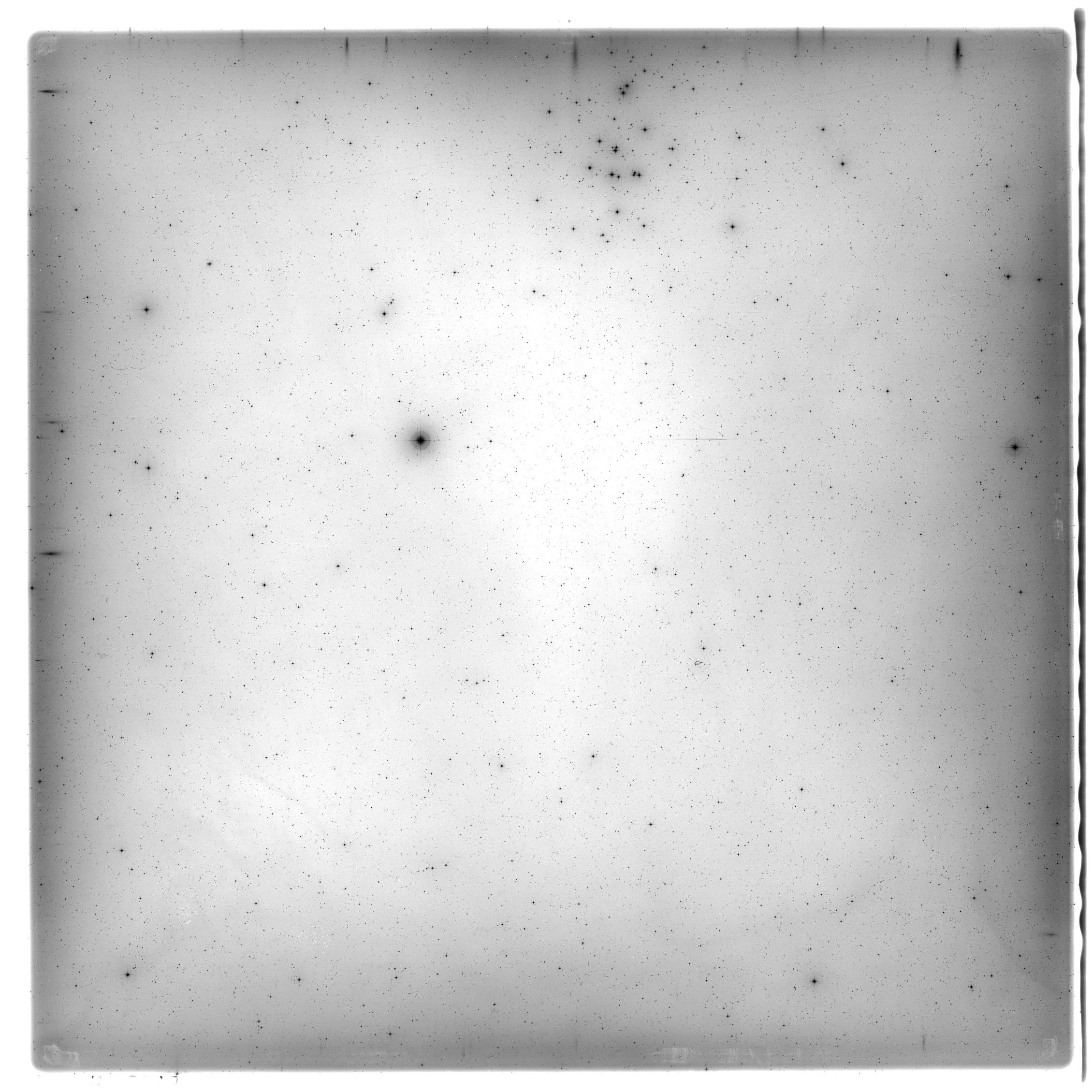 Scan HS02189