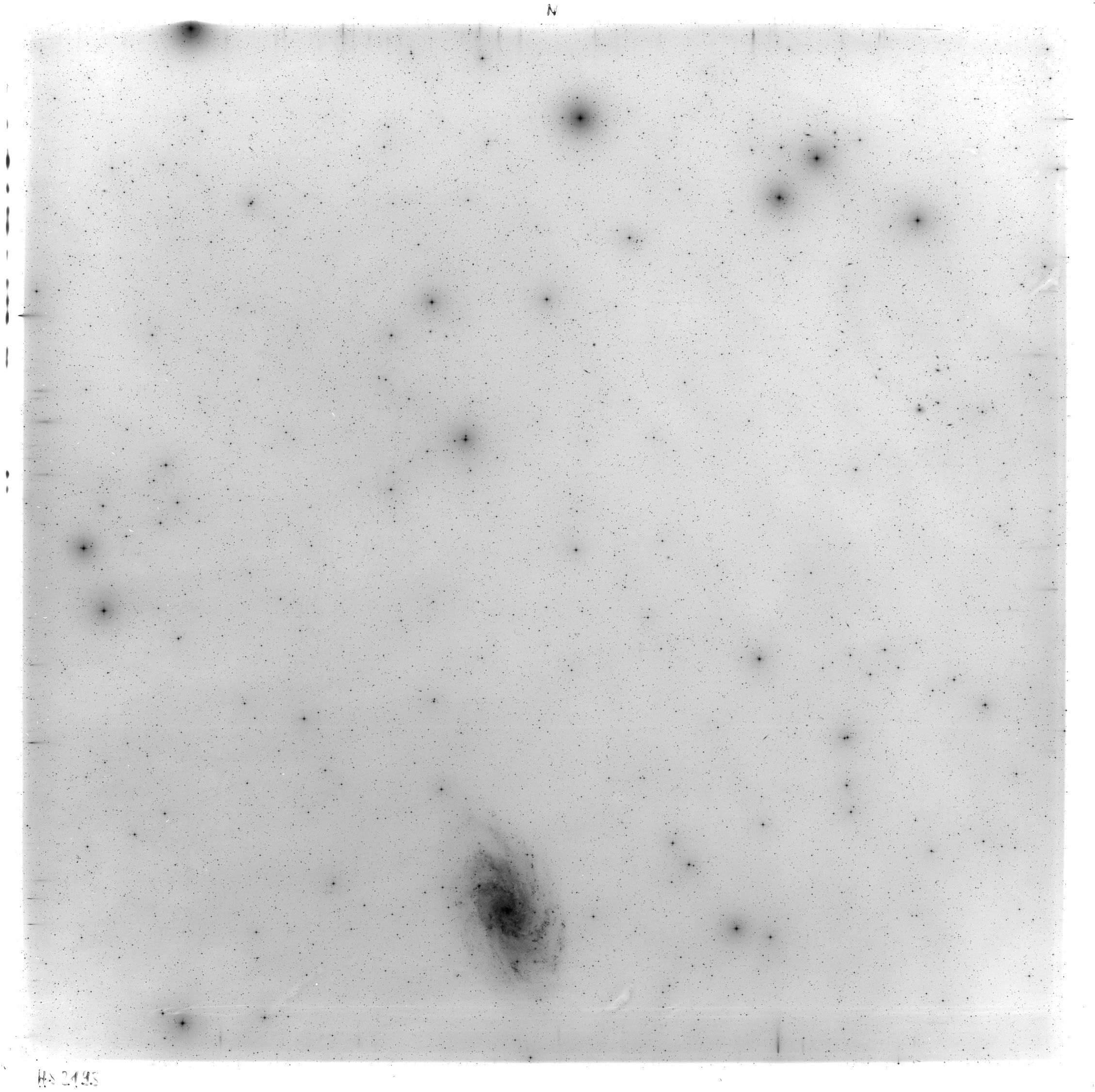 Scan HS02193