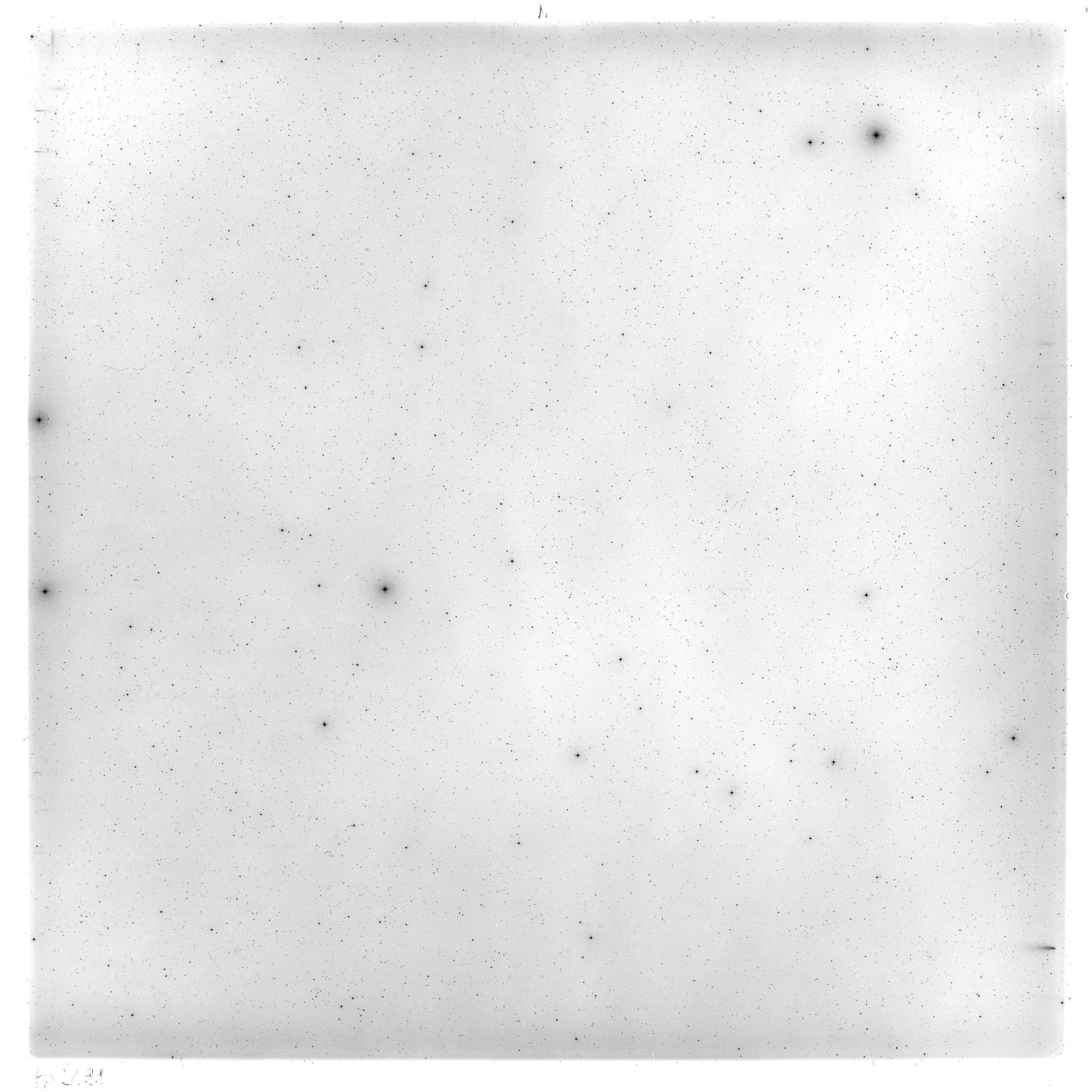Scan HS02199