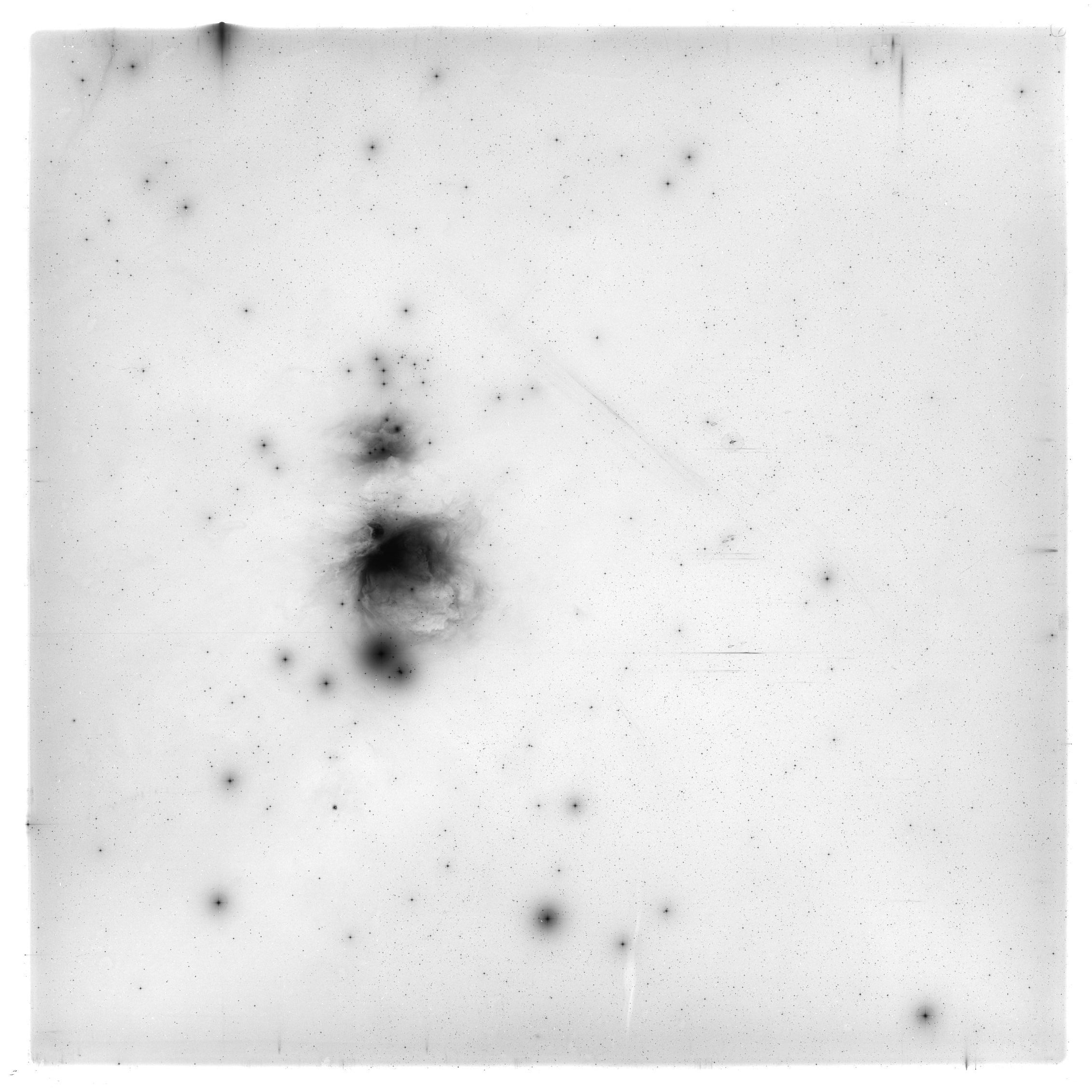 Scan HS02239