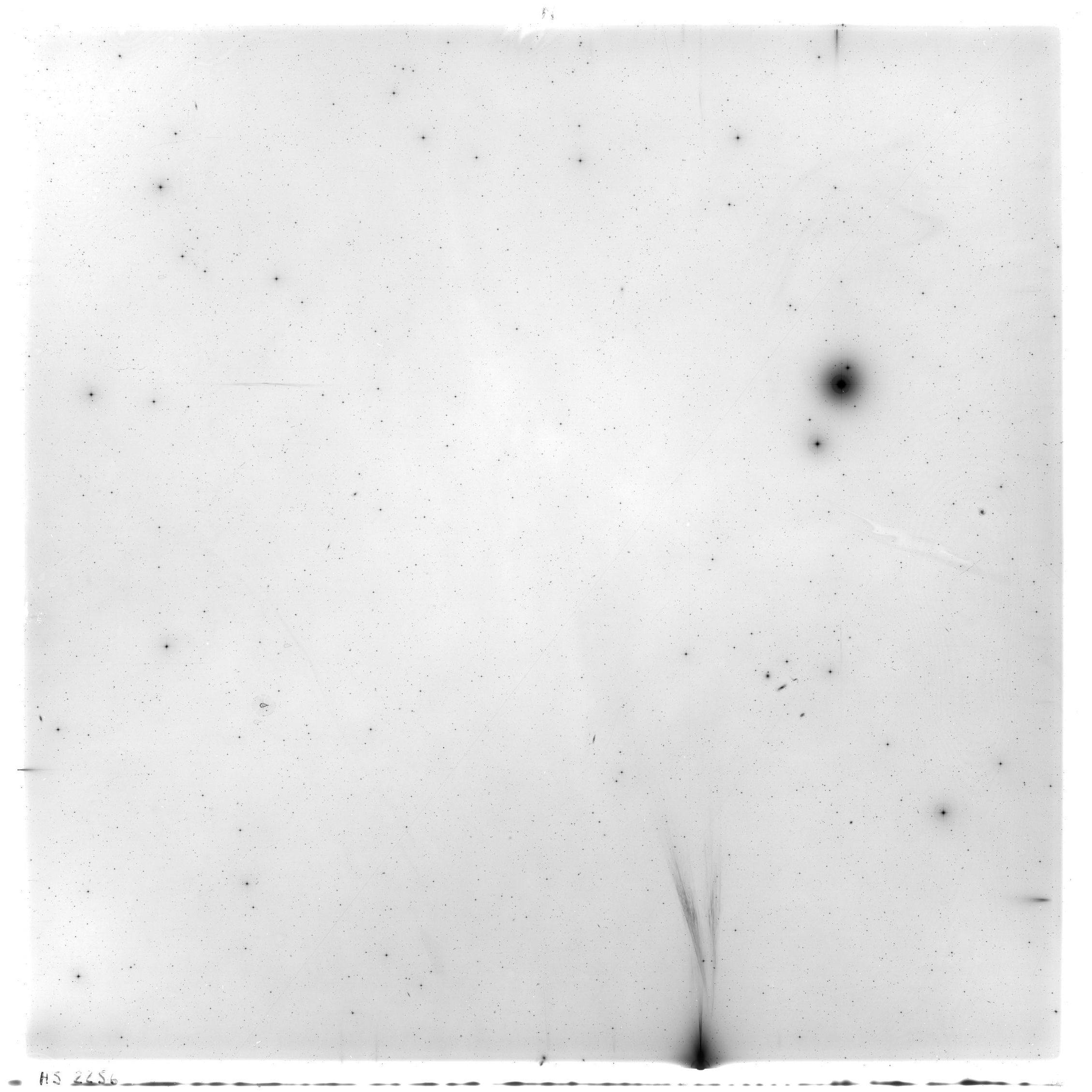Scan HS02256