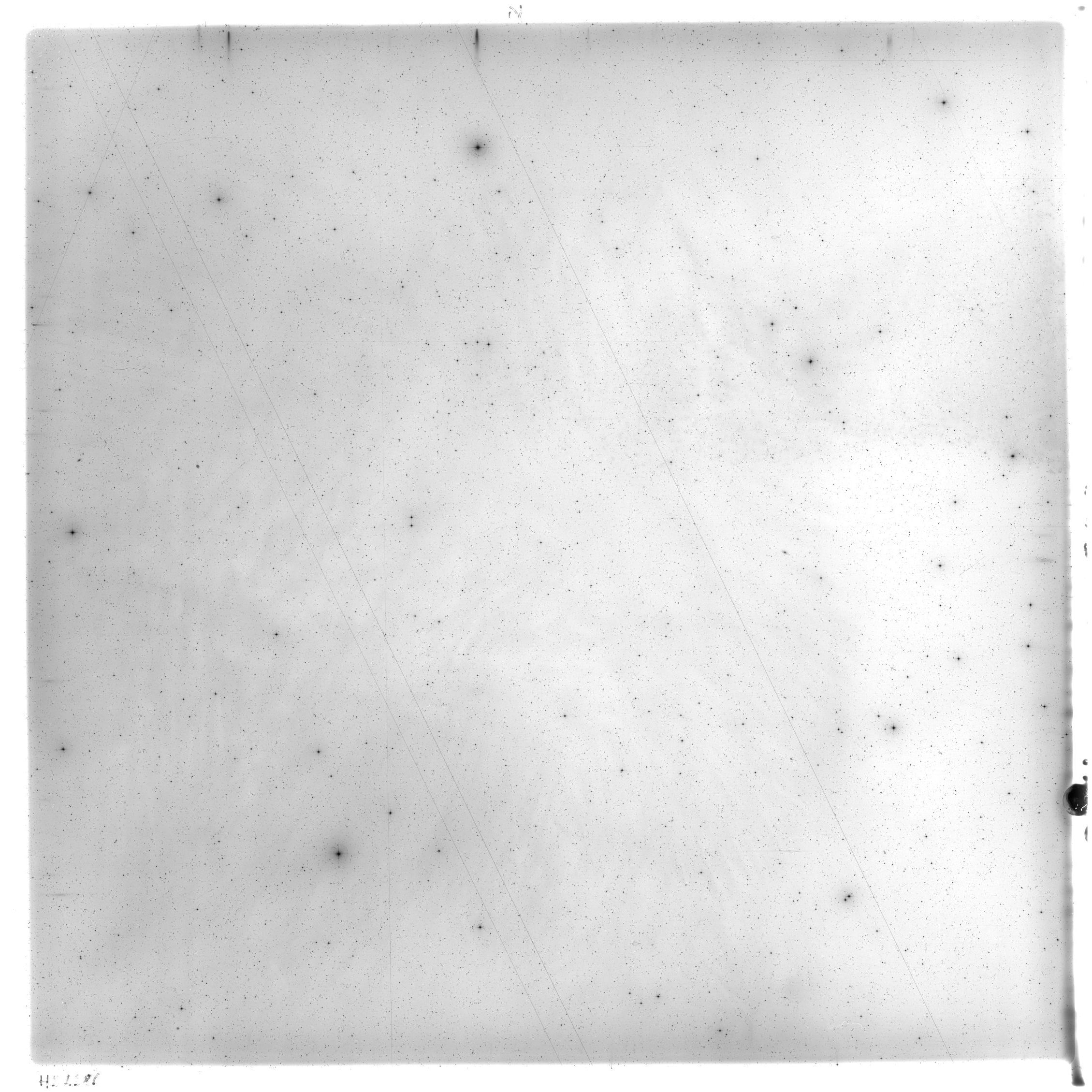 Scan HS02386