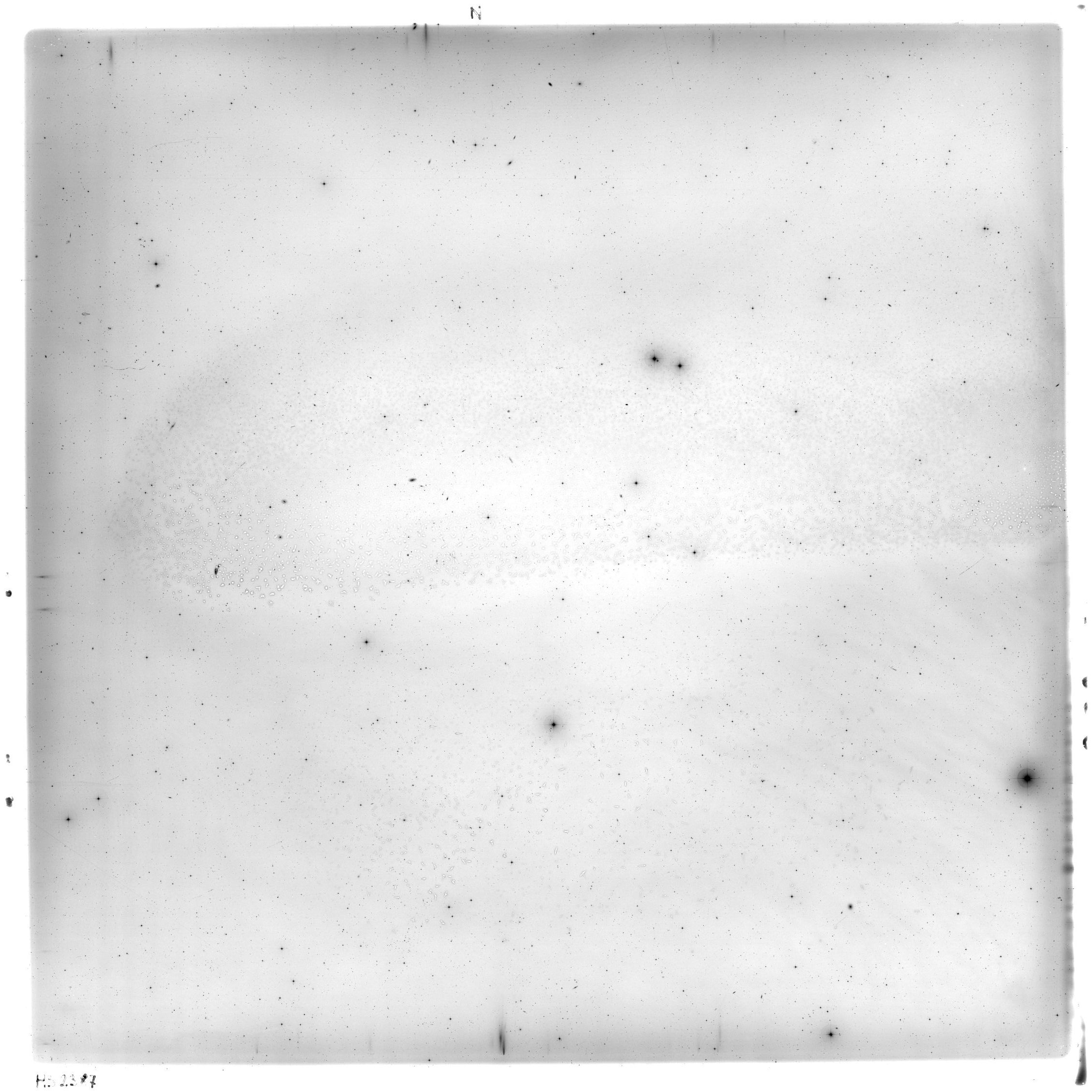 Scan HS02387