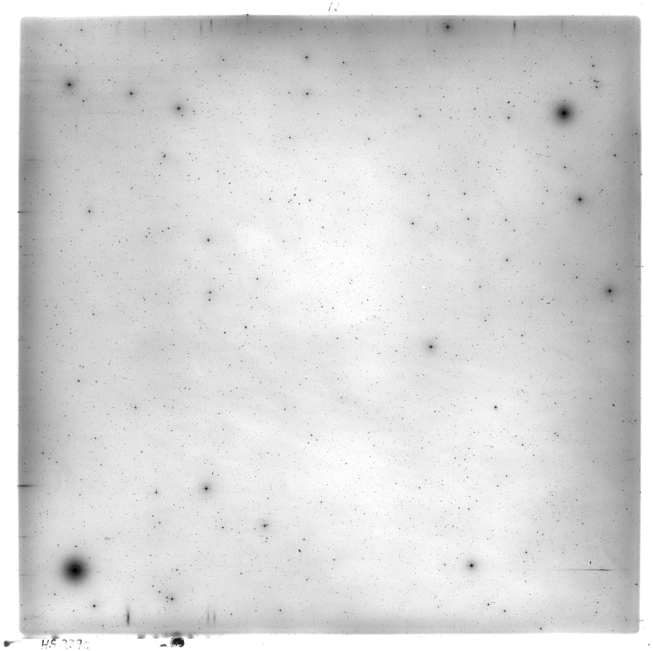 Scan HS02390