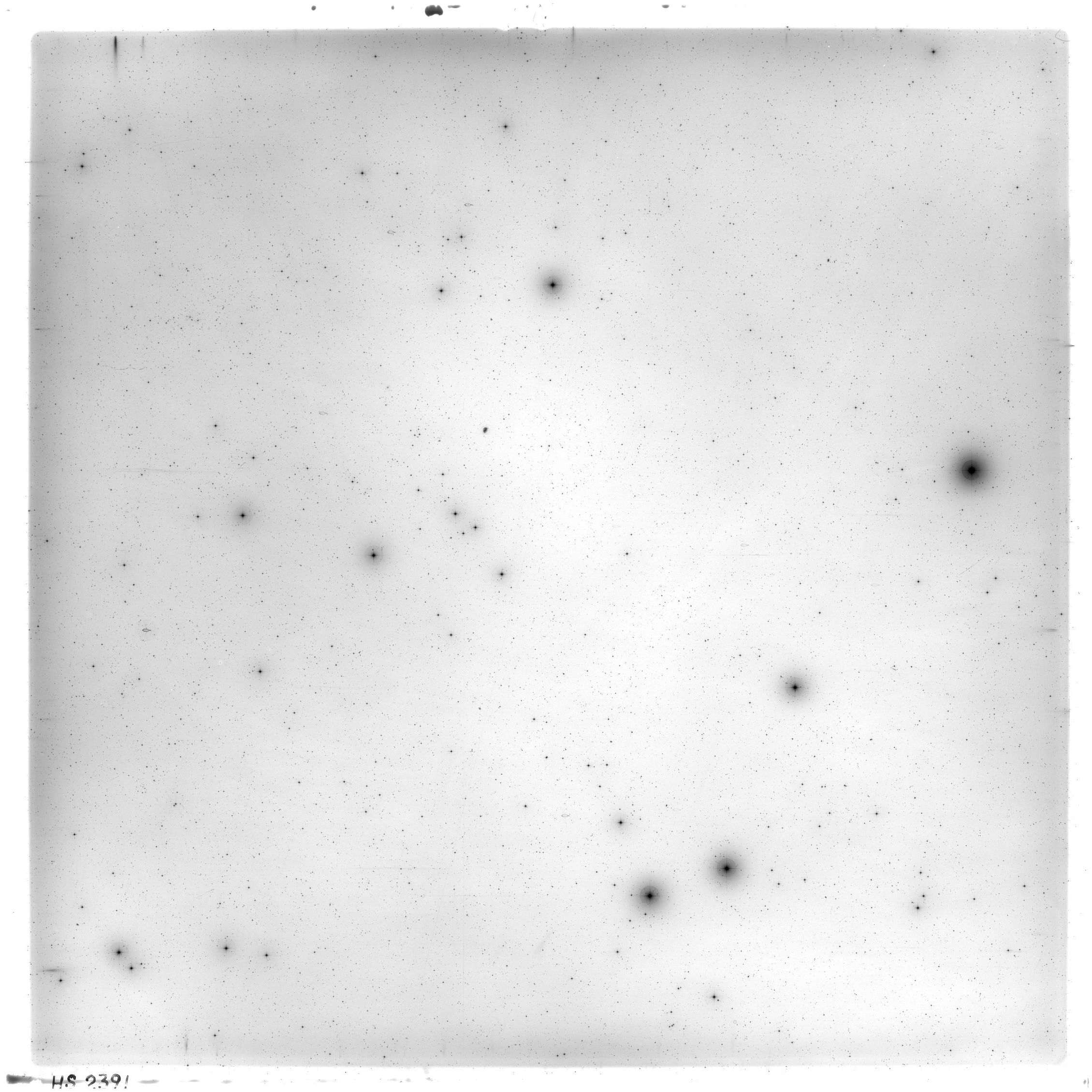 Scan HS02391