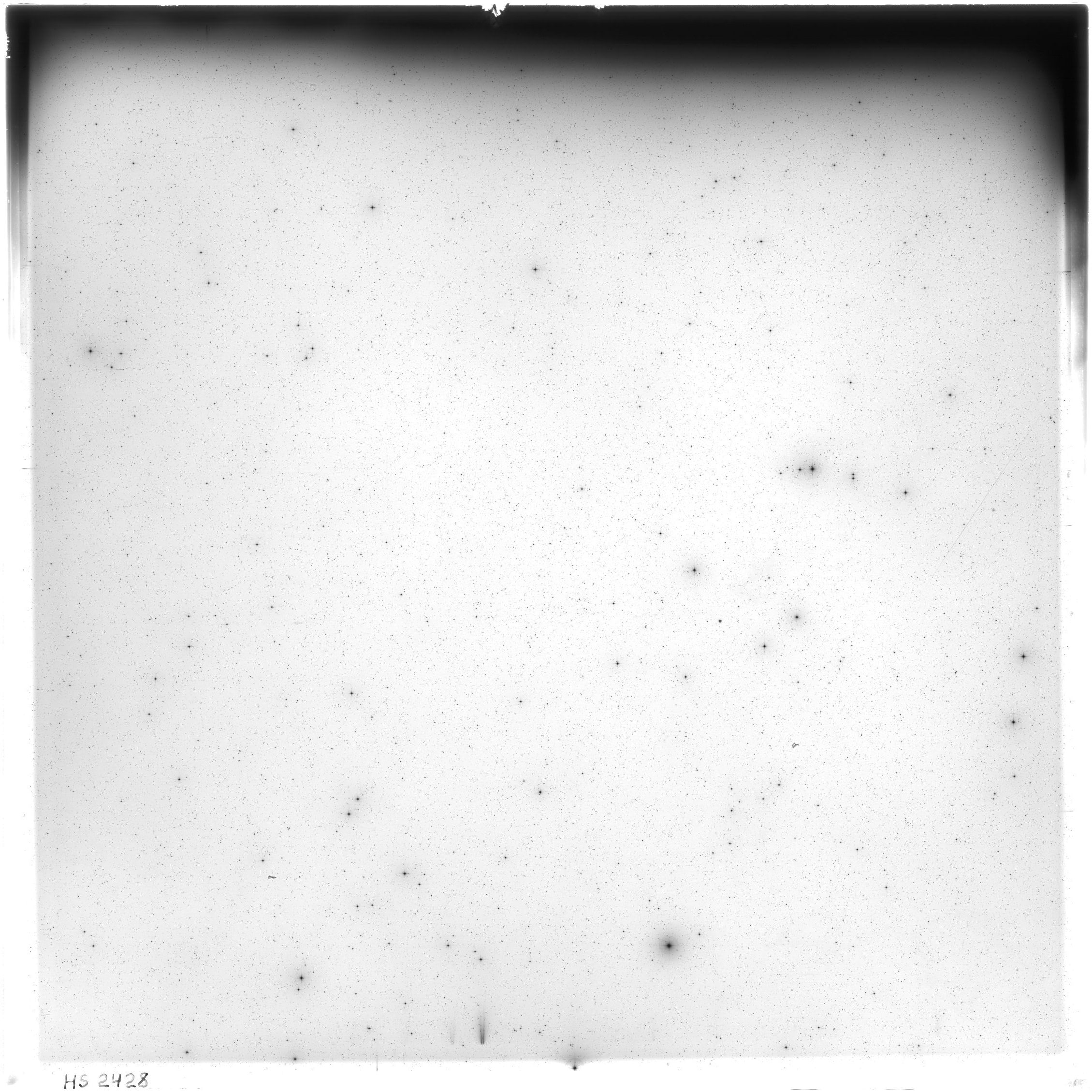 Scan HS02428