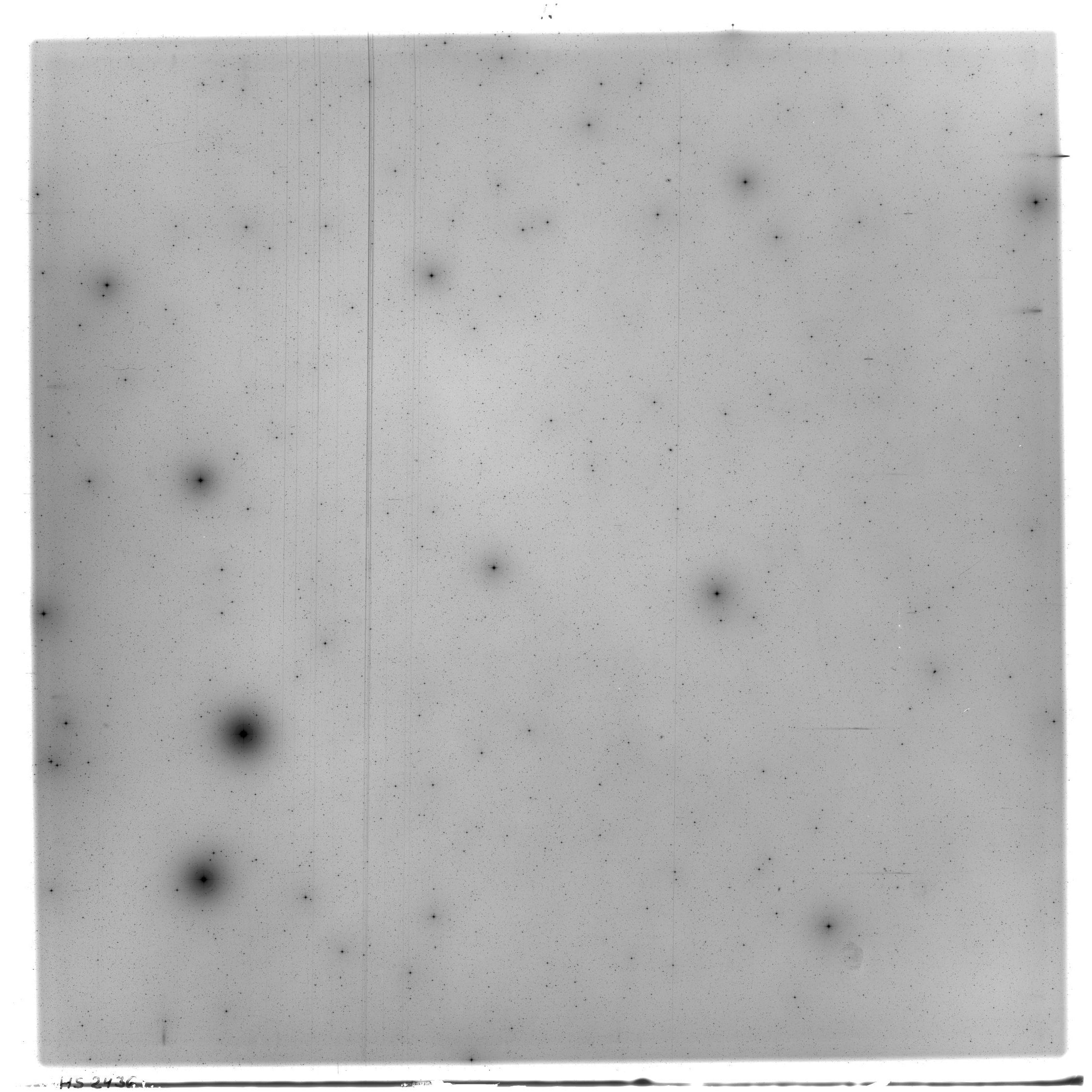 Scan HS02436