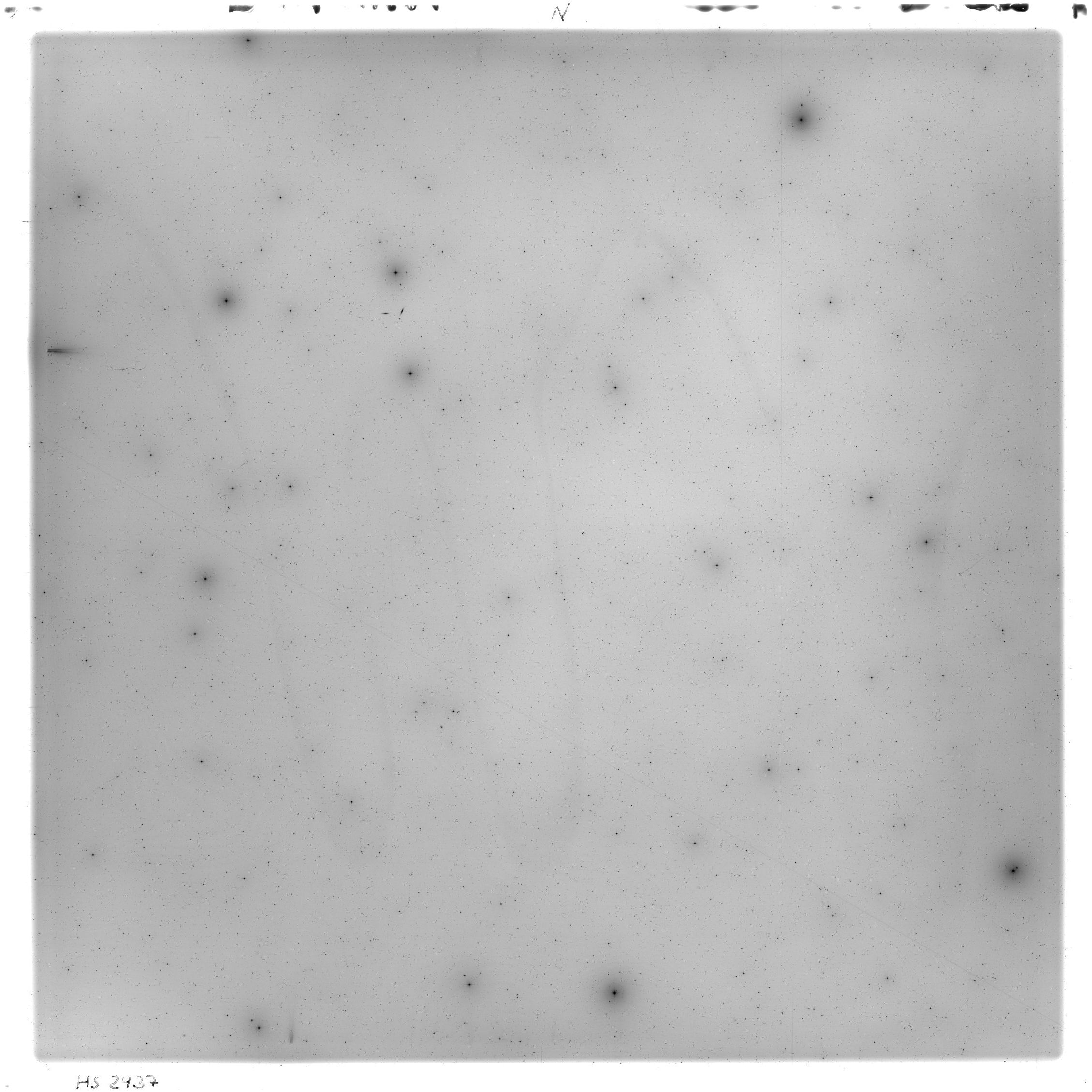 Scan HS02437