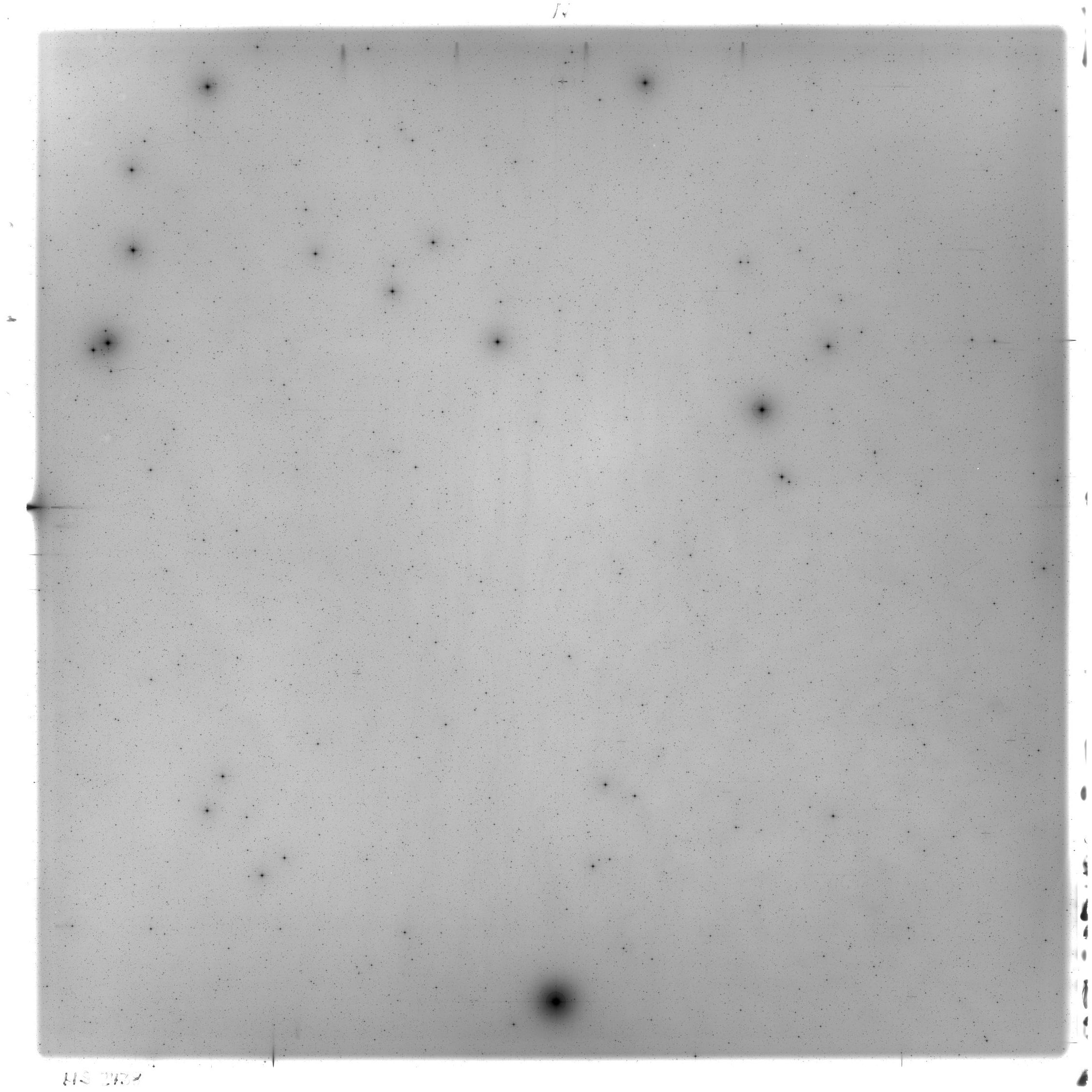 Scan HS02438