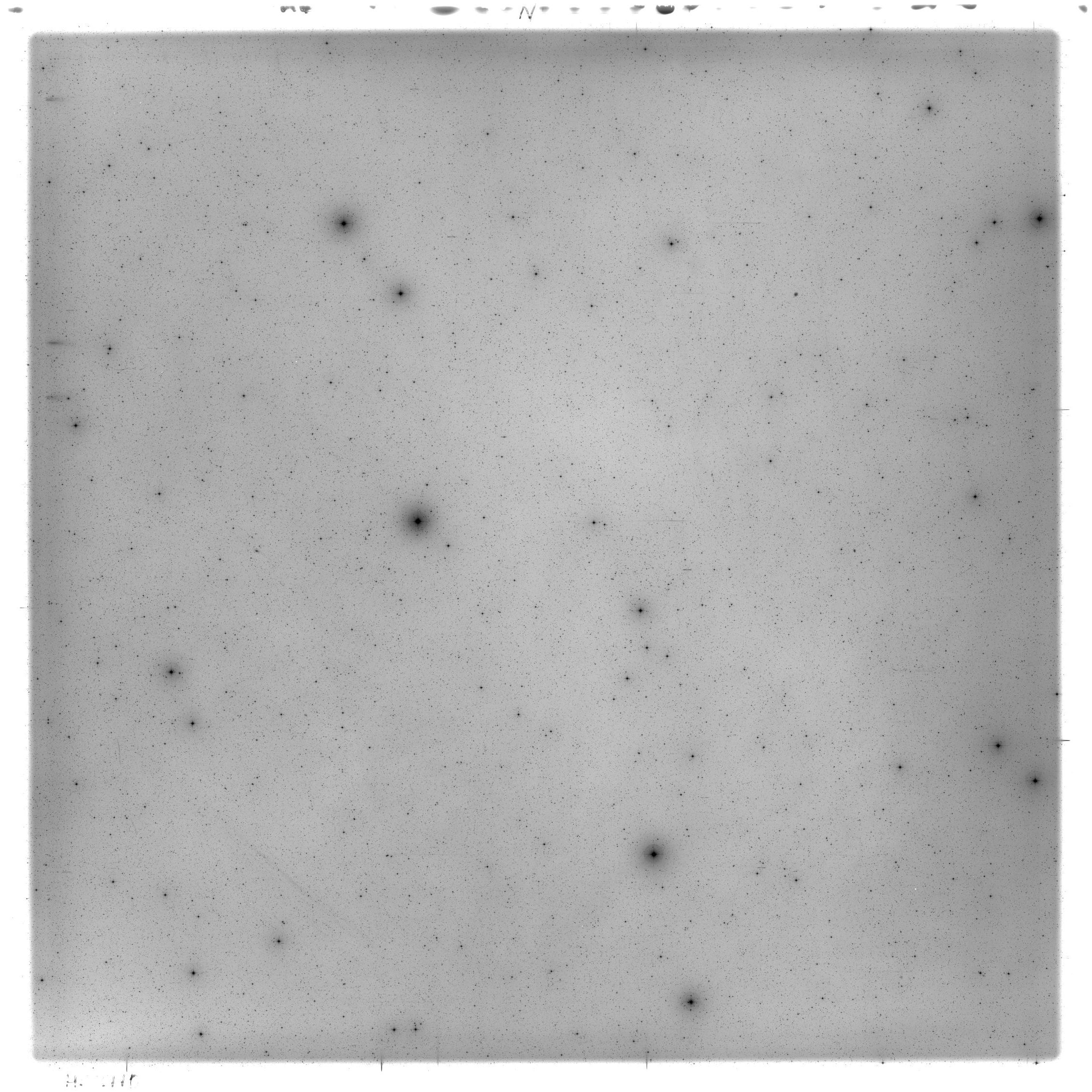 Scan HS02440