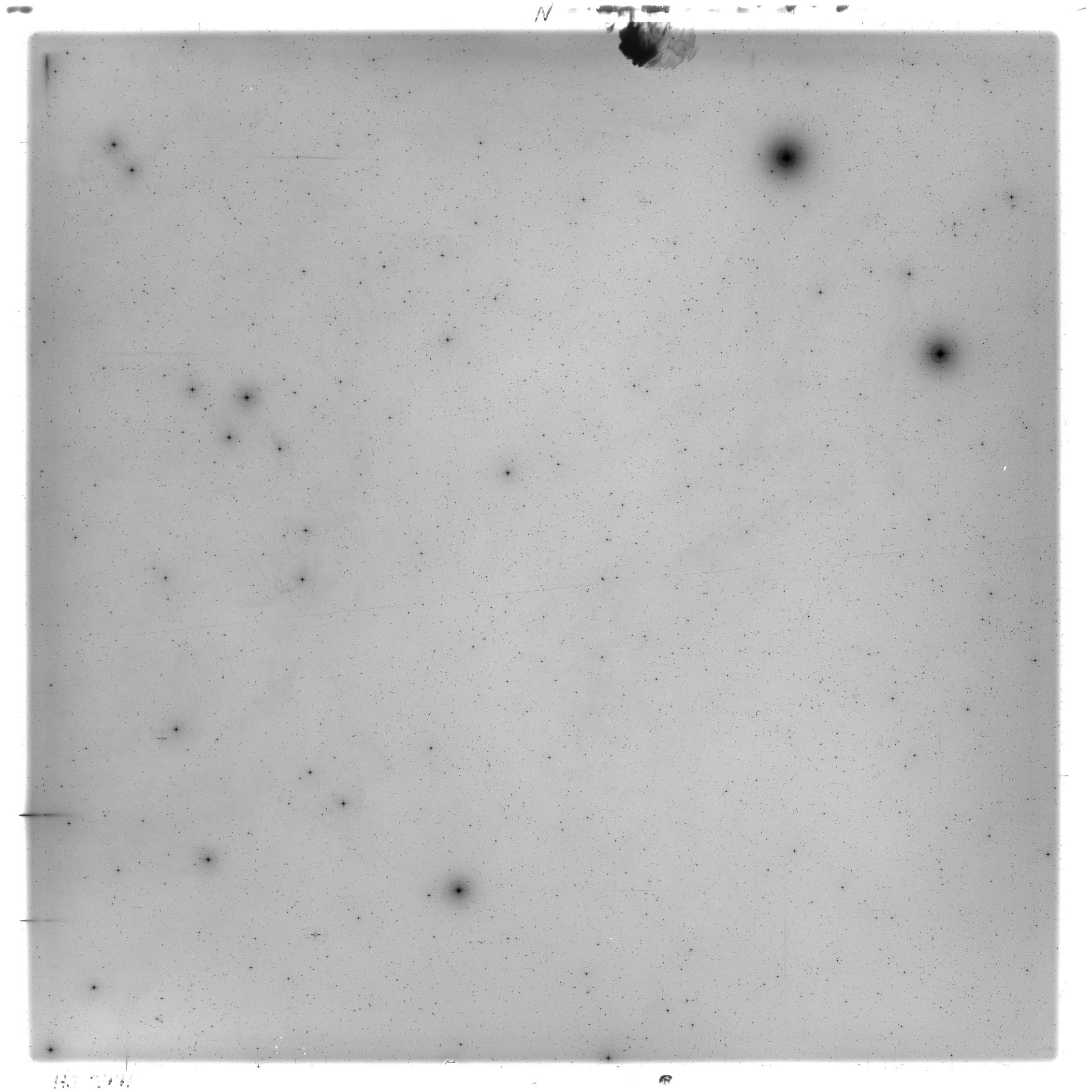 Scan HS02441